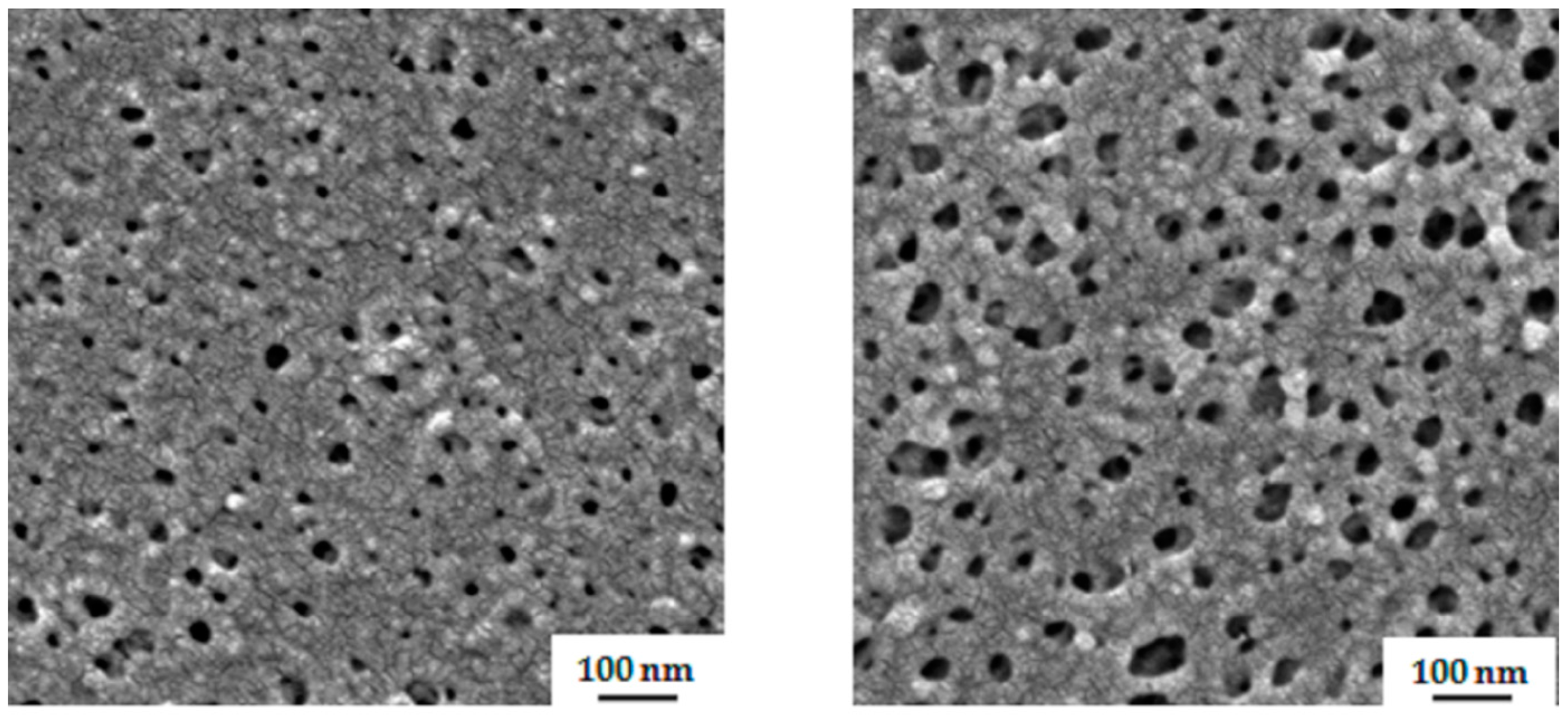 Polymers 09 00216 g005