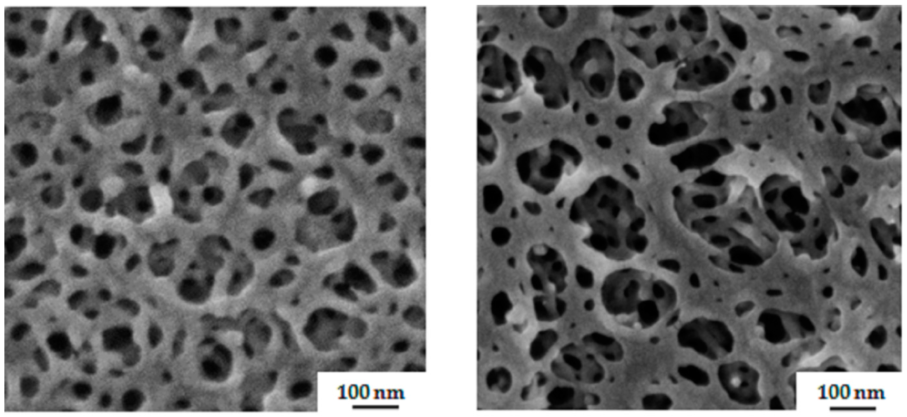 Polymers 09 00216 g006