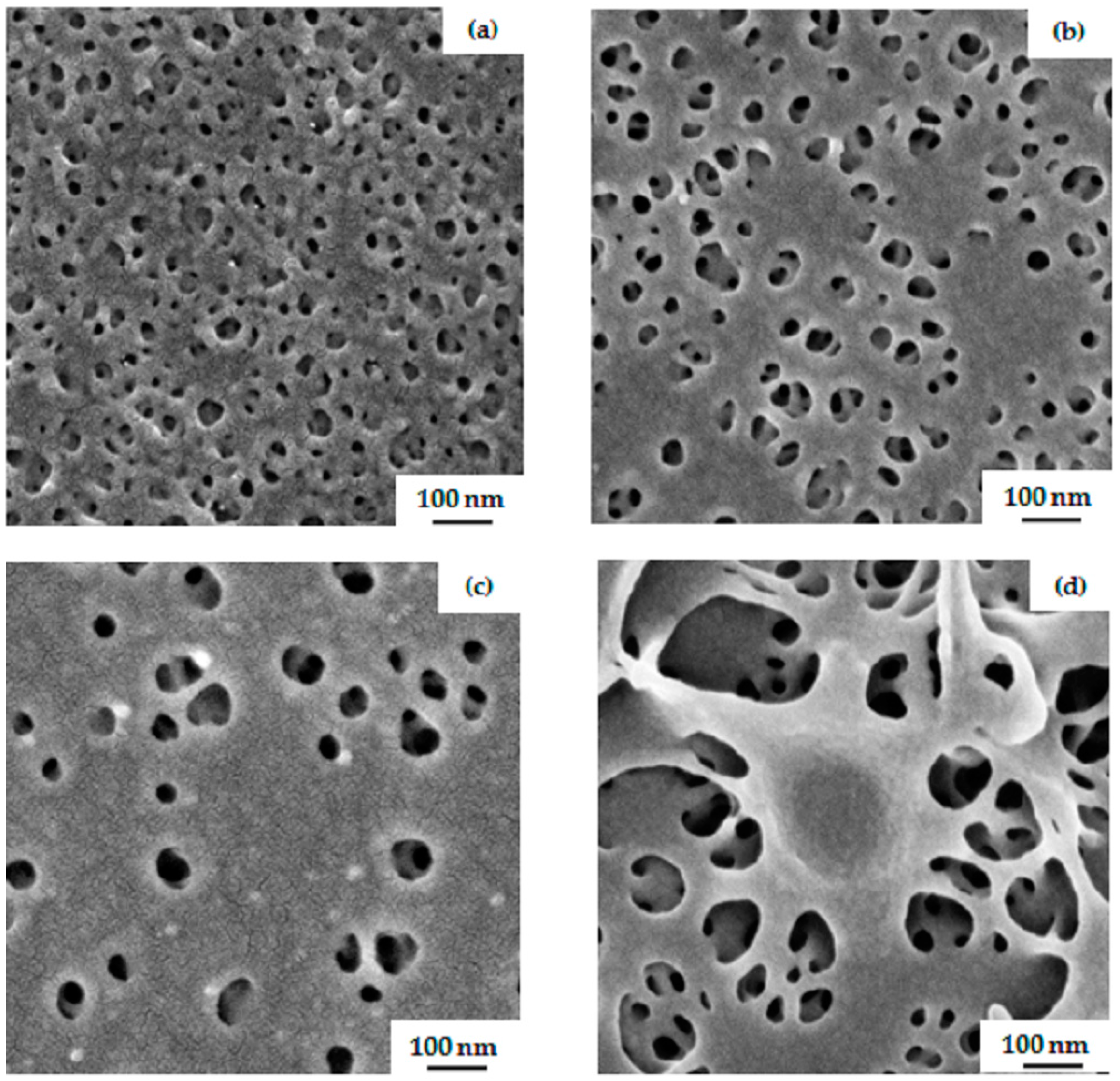 Polymers 09 00216 g007
