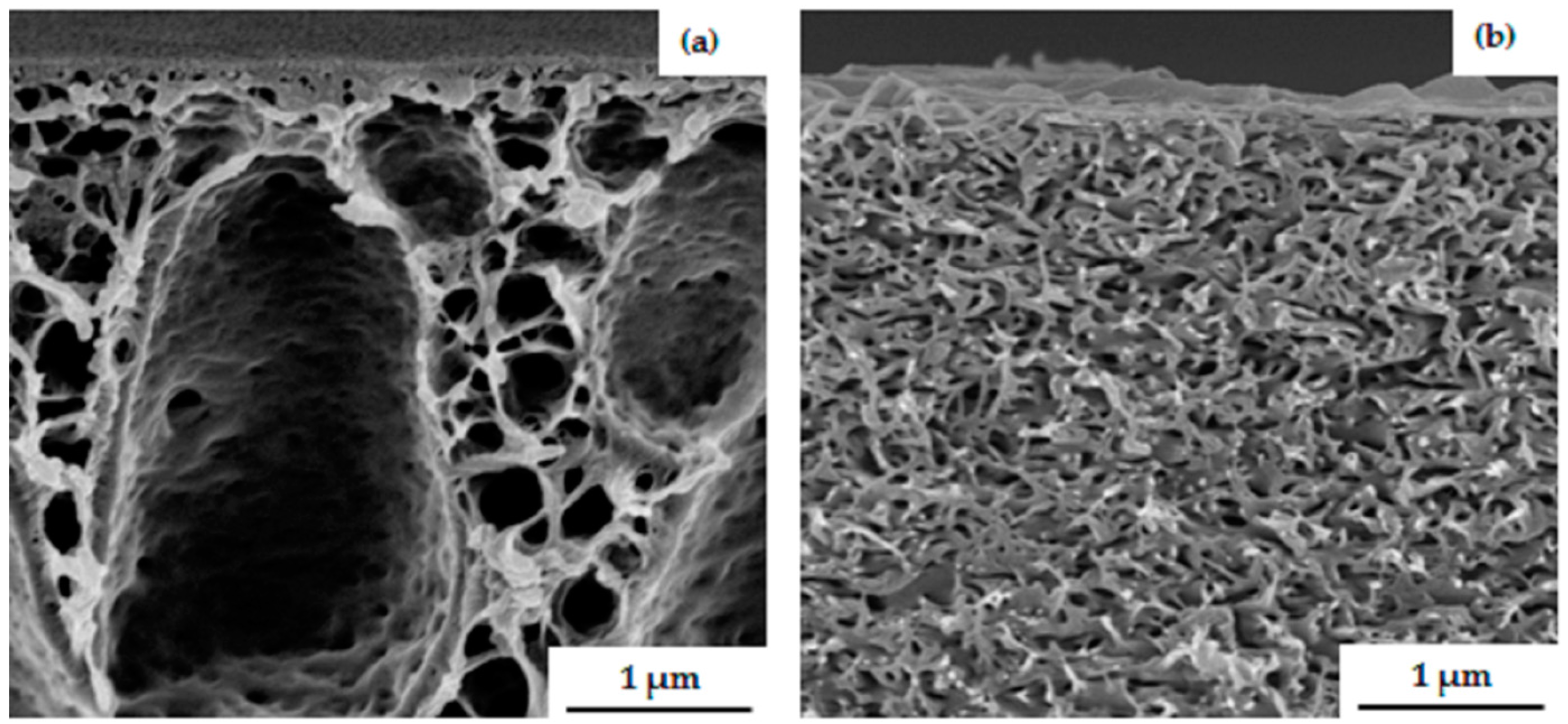Polymers 09 00216 g008