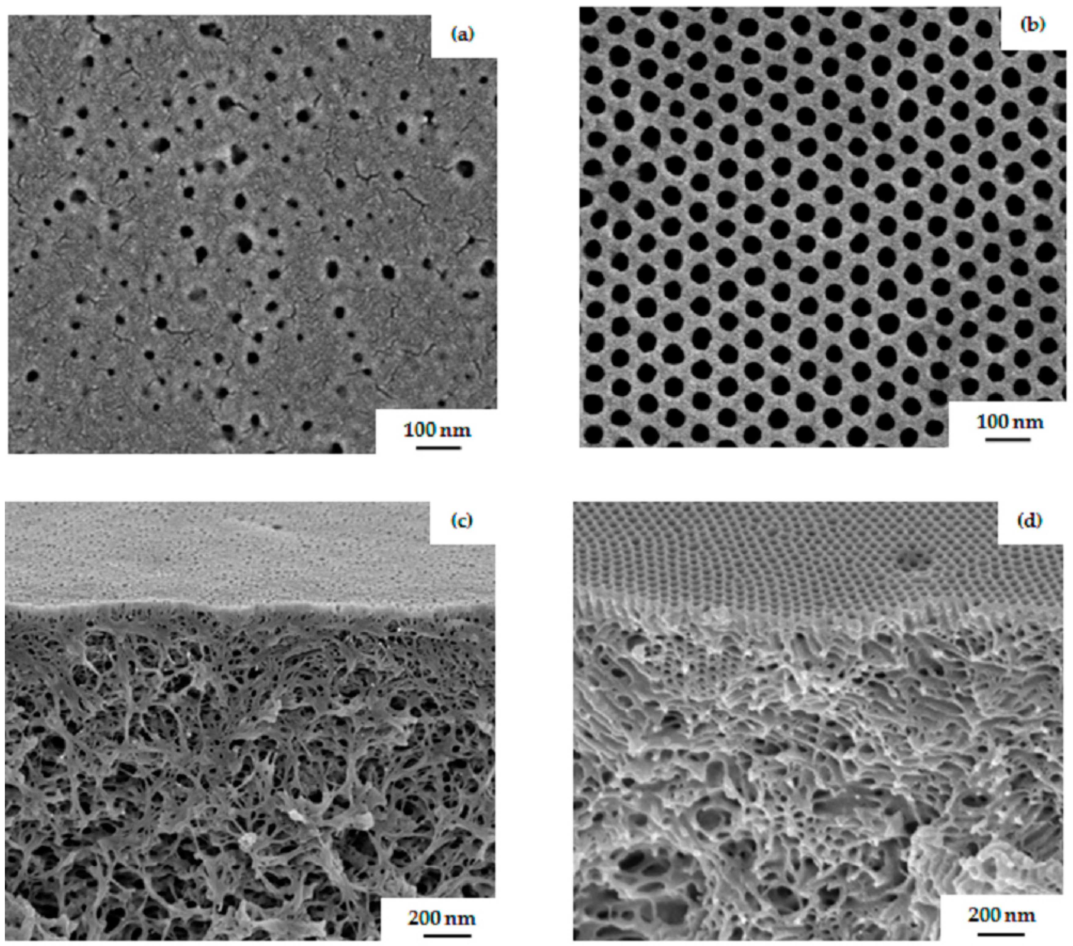 Polymers 09 00216 g009