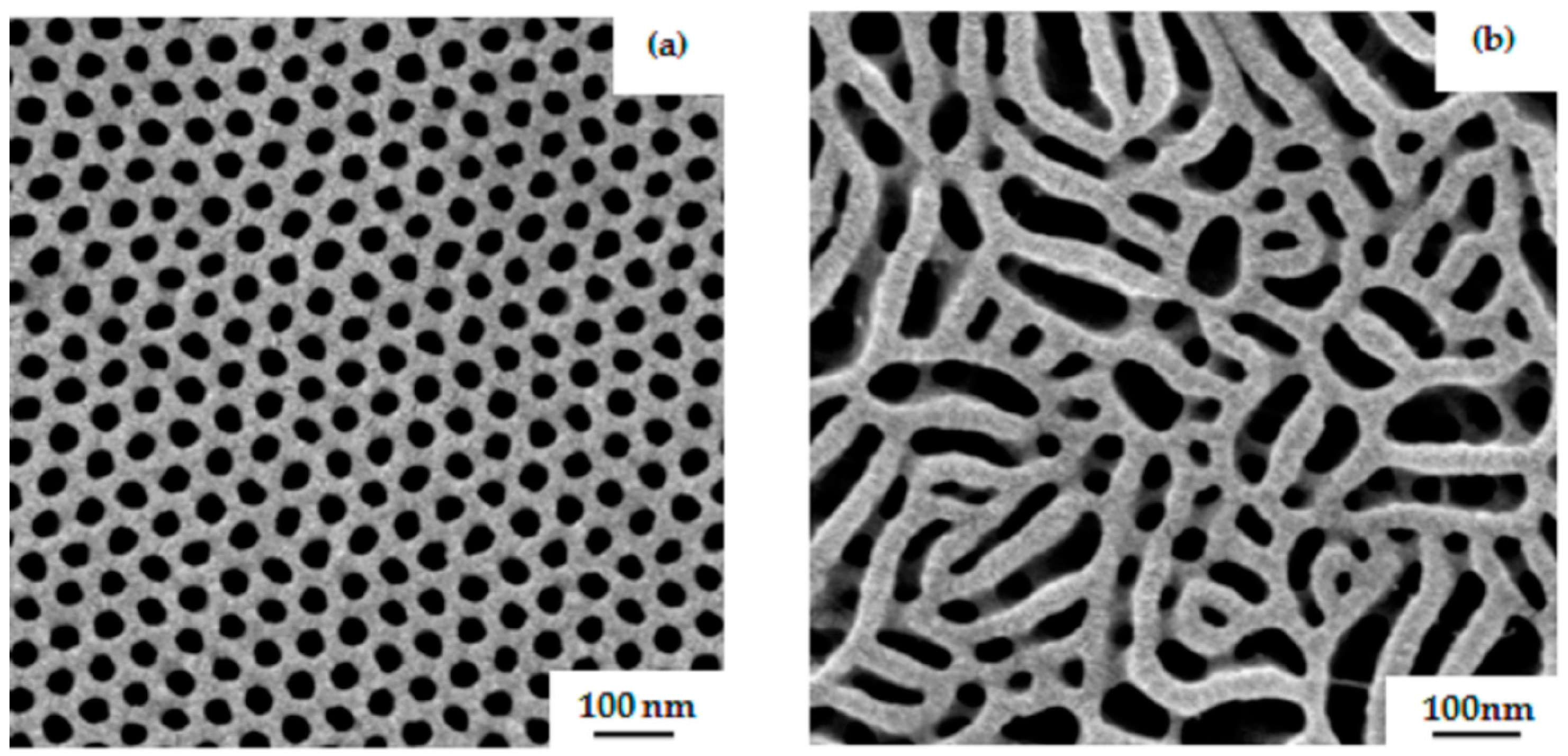 Polymers 09 00216 g010