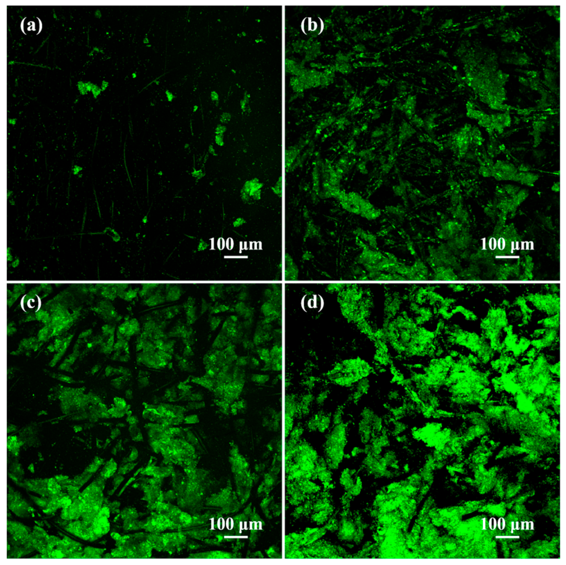 Polymers 09 00220 g006