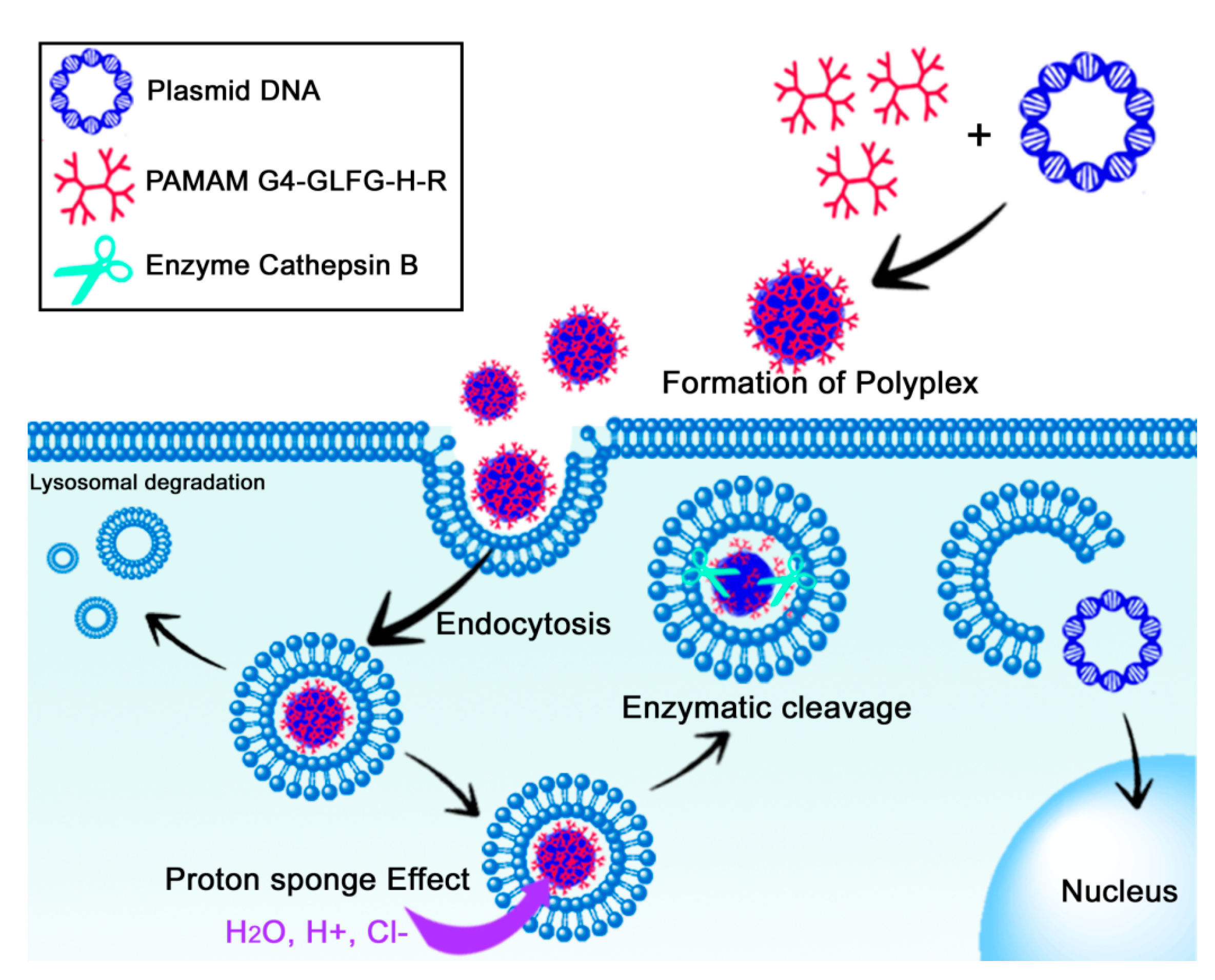 Polymers 09 00224 g001