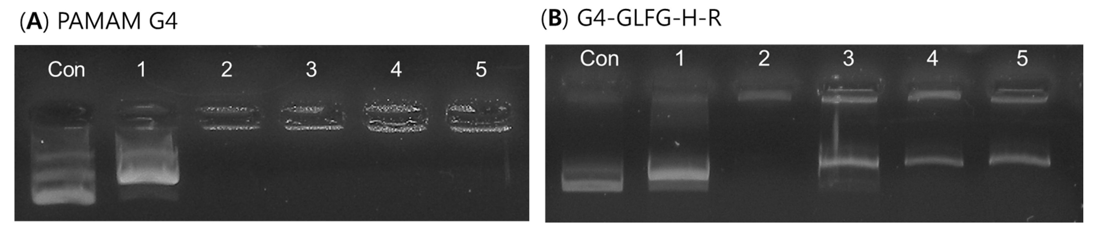 Polymers 09 00224 g007