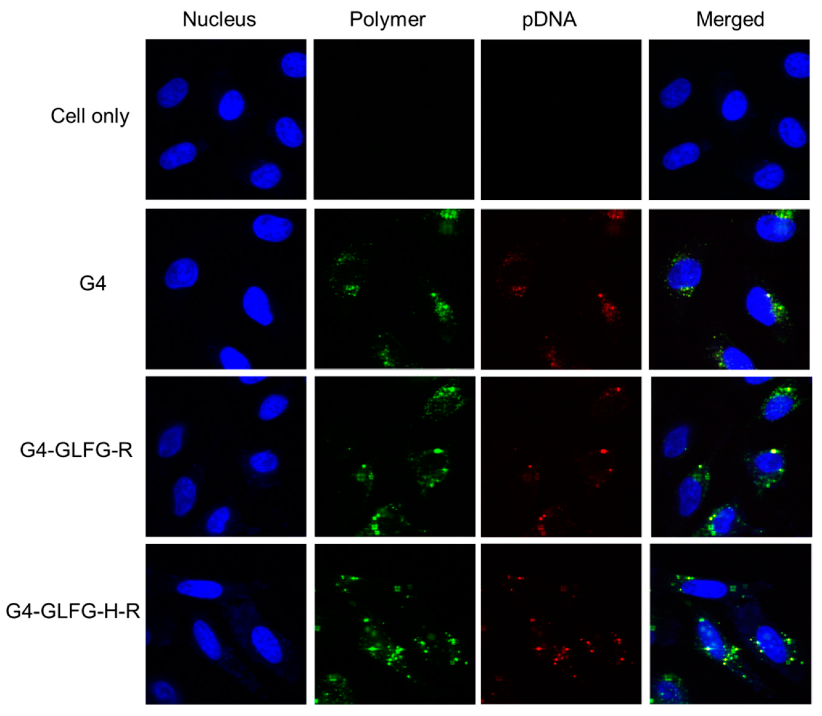 Polymers 09 00224 g009