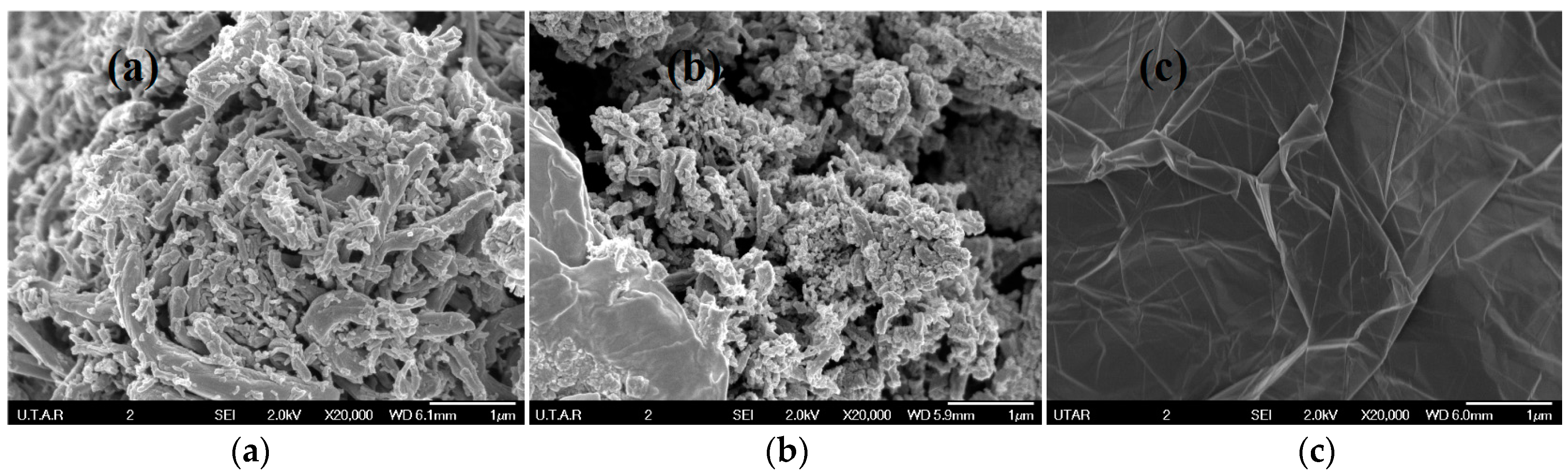 Polymers 09 00230 g009
