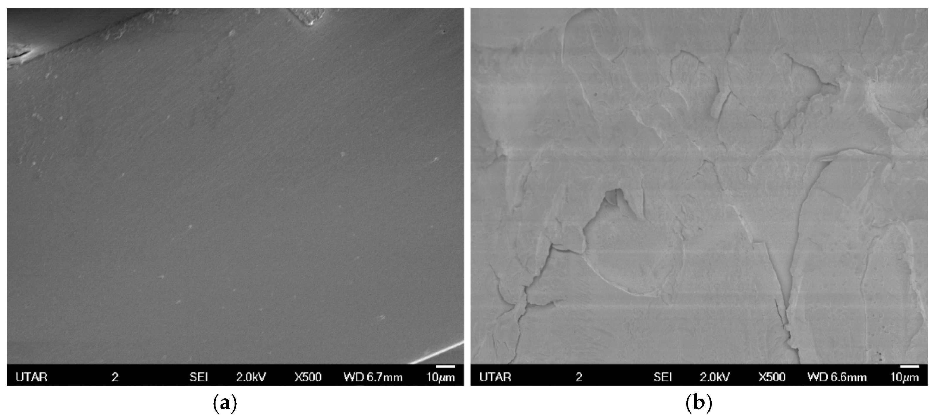 Polymers 09 00230 g010