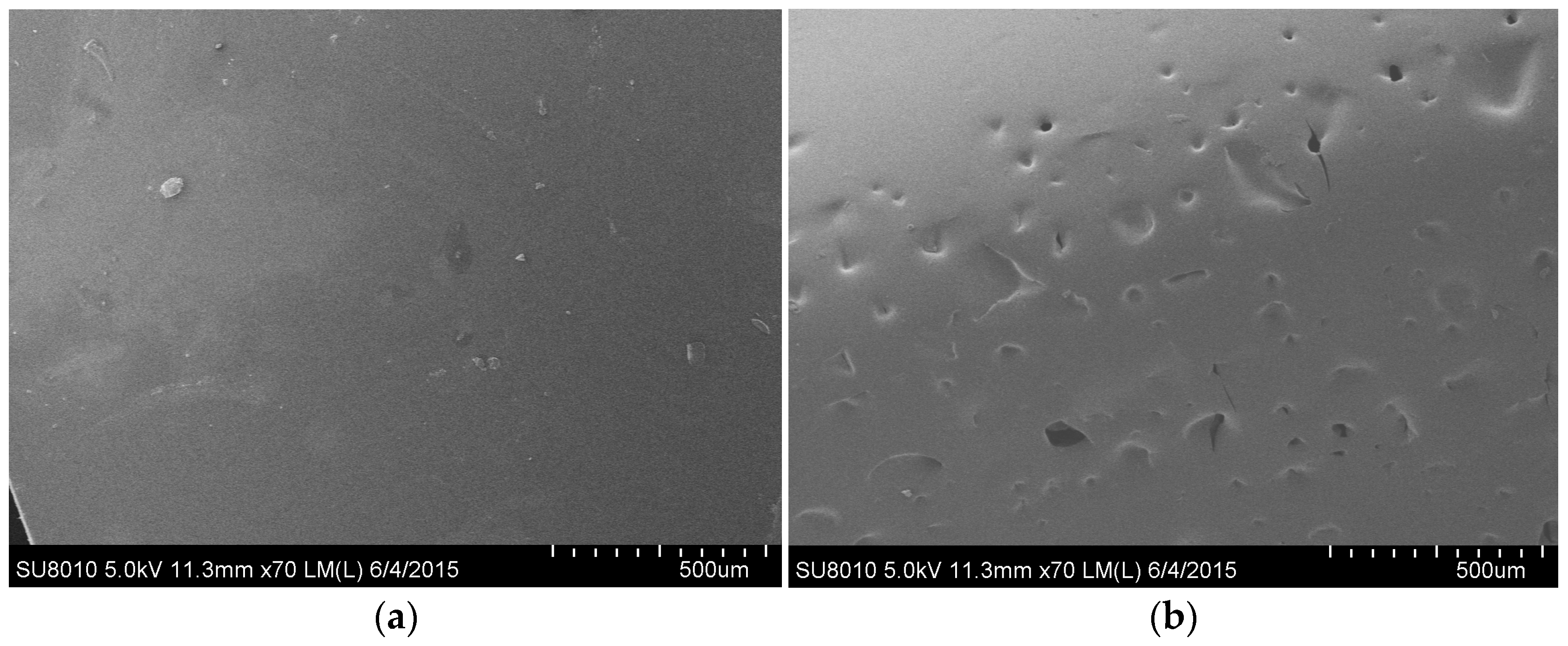Polymers 09 00232 g005