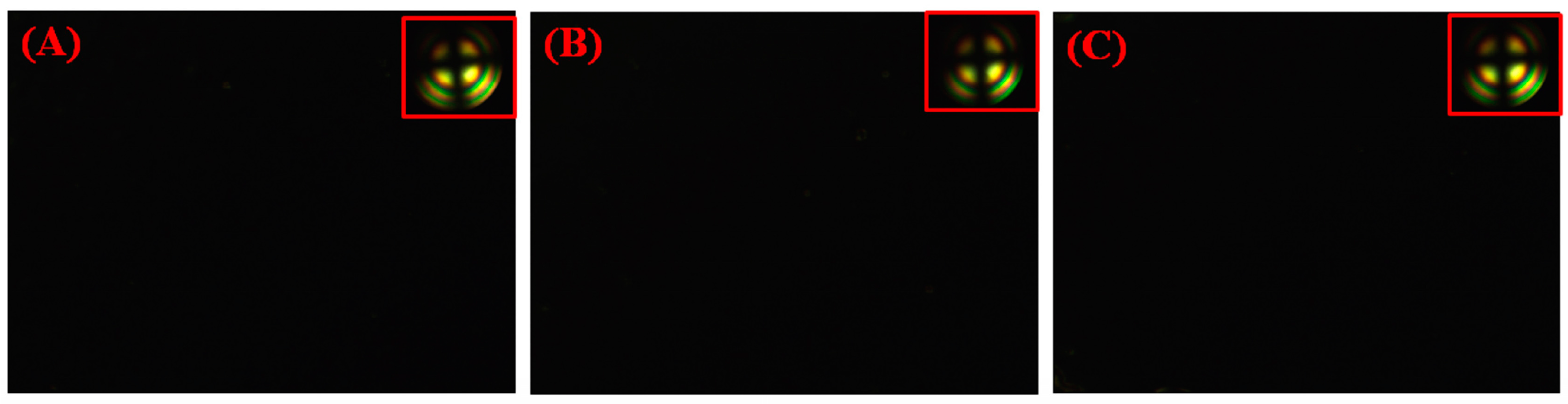 Polymers 09 00233 g003