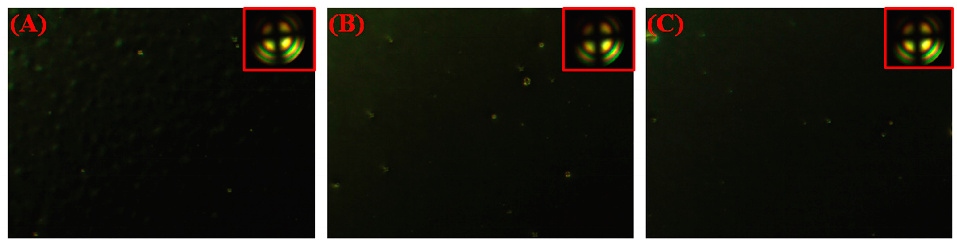 Polymers 09 00233 g006