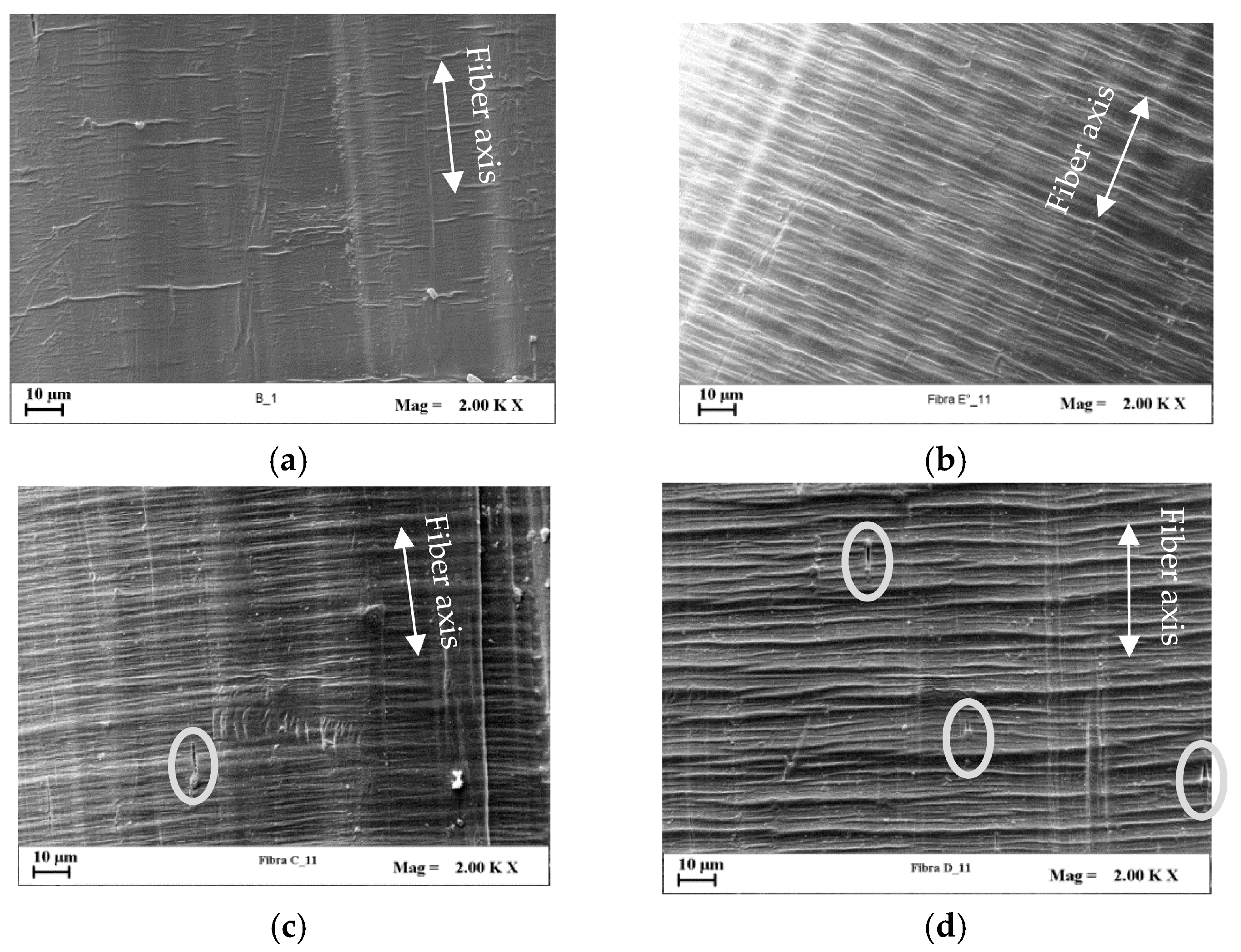 Polymers 09 00235 g013