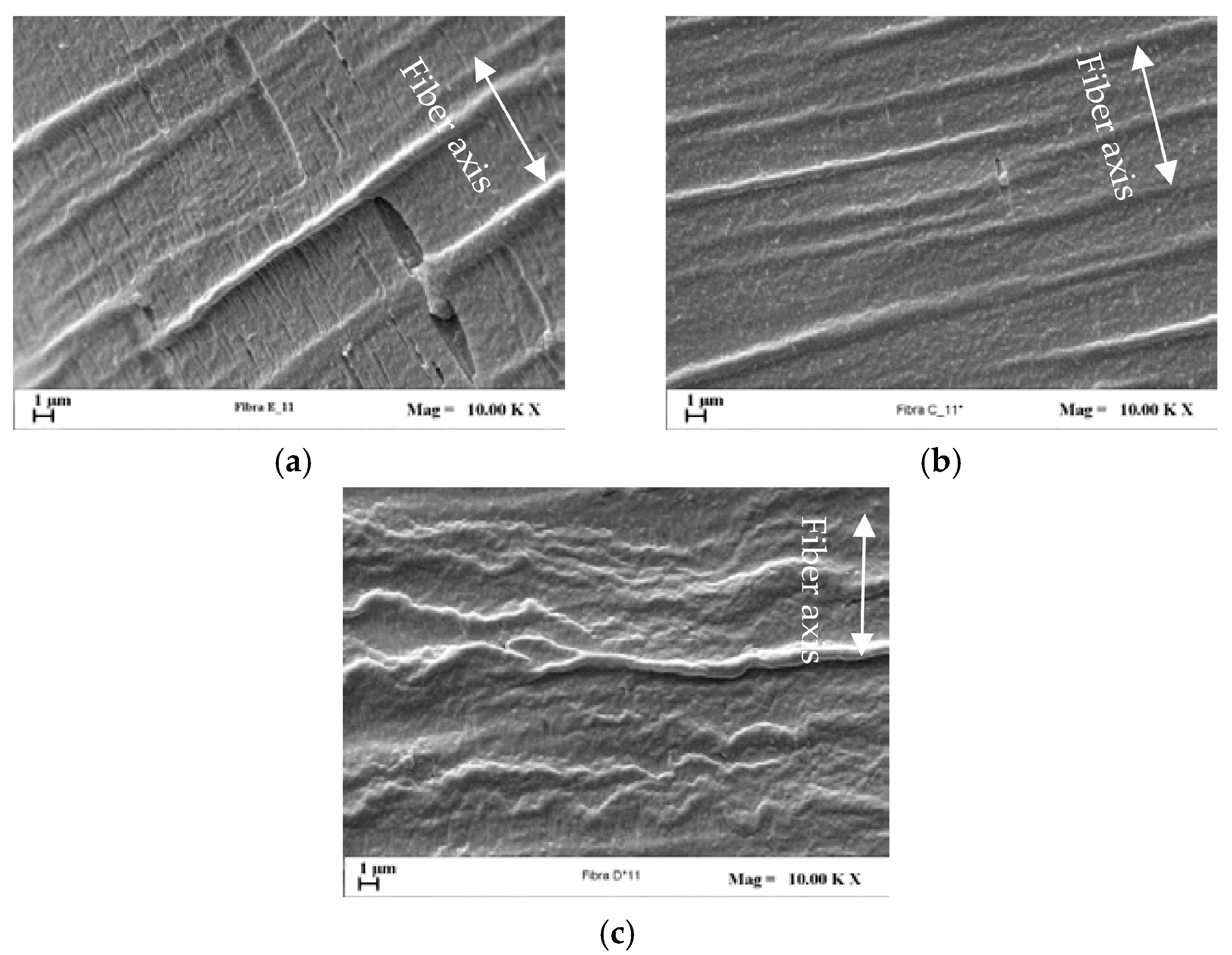 Polymers 09 00235 g014