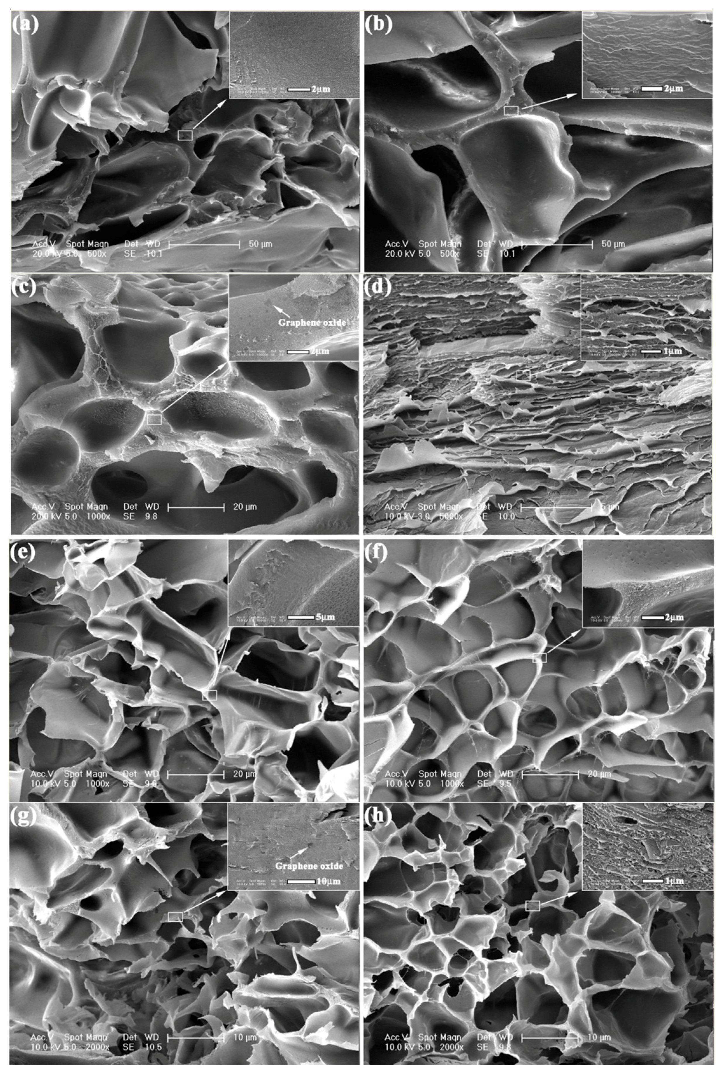 Polymers 09 00237 g002