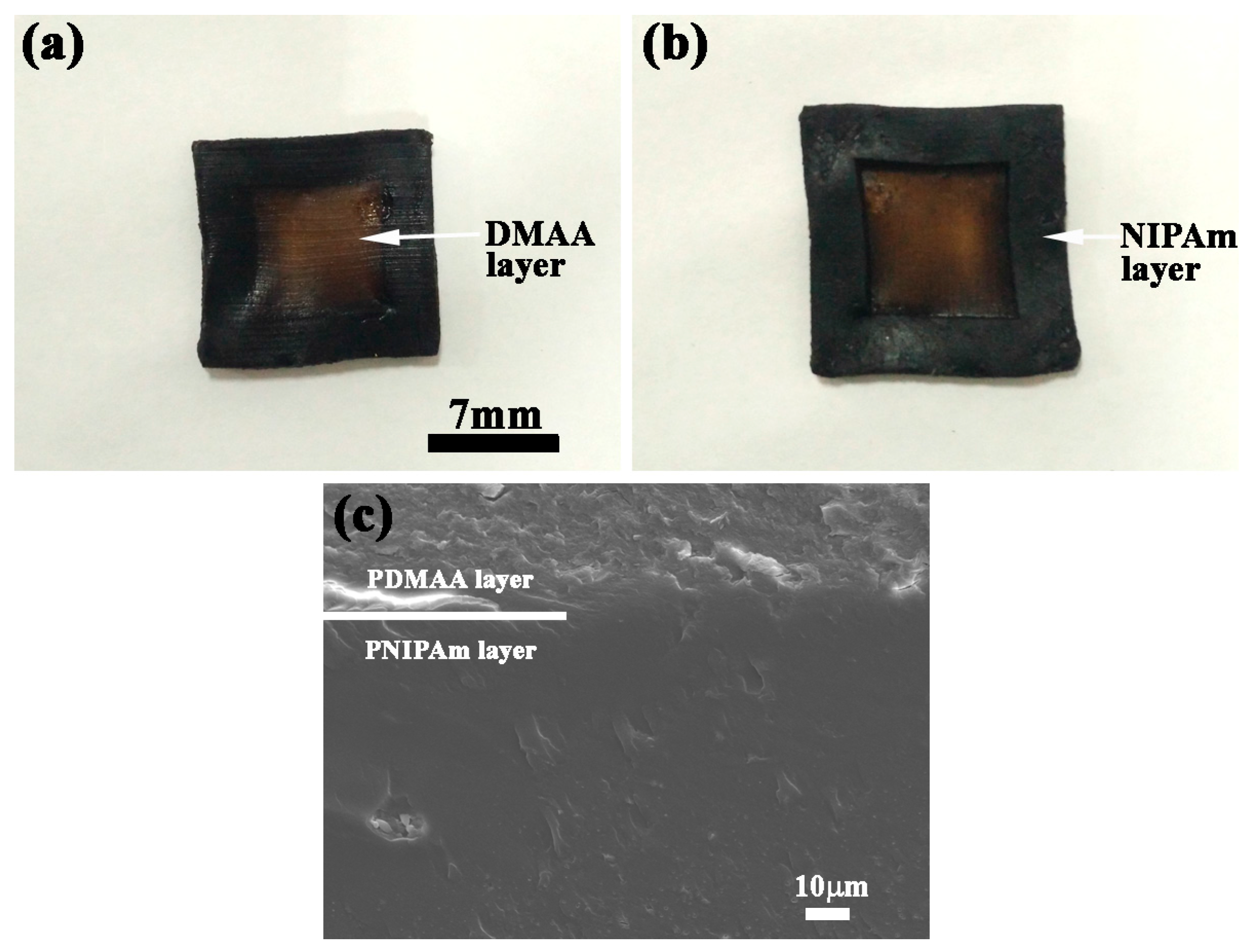 Polymers 09 00237 g009