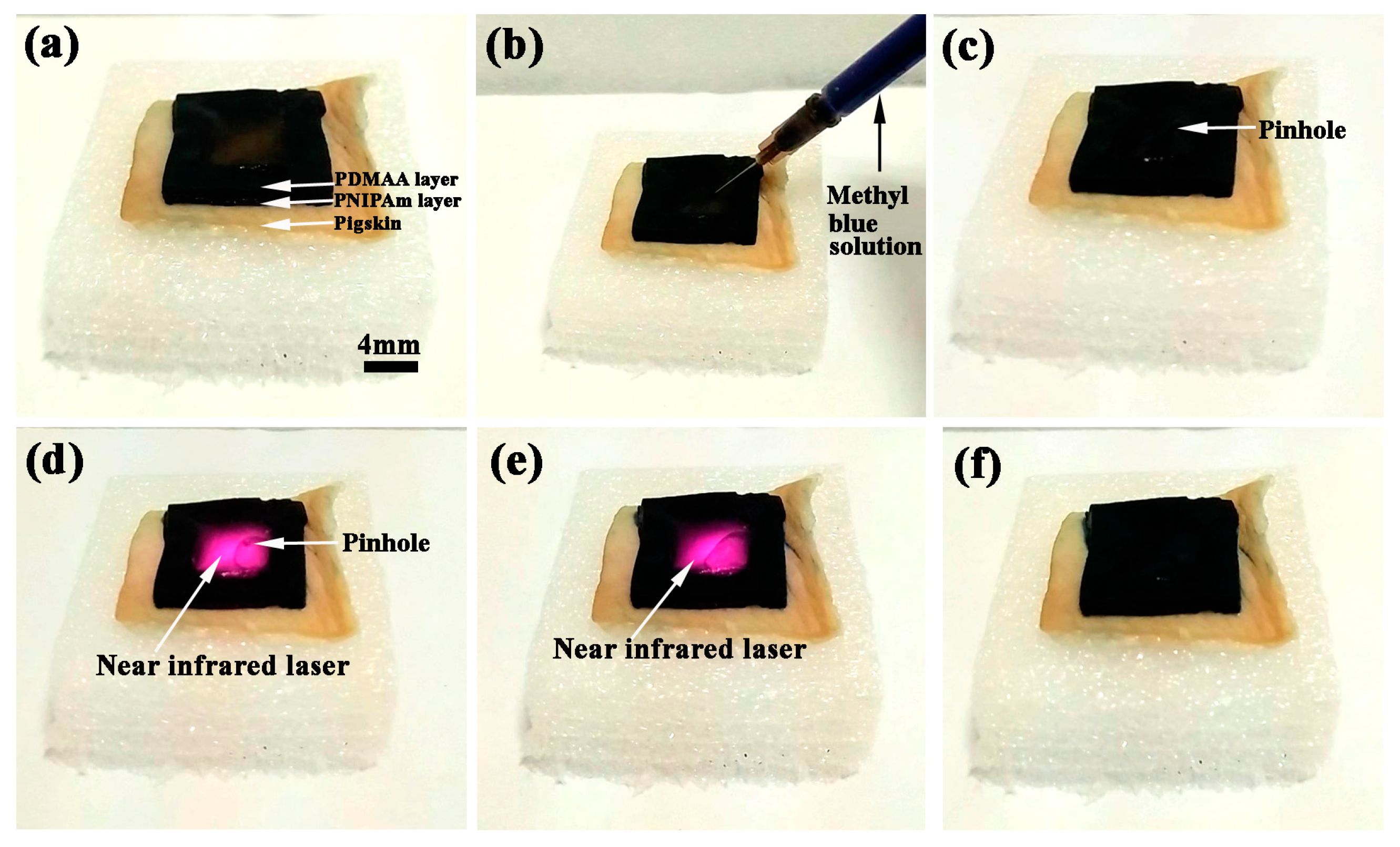 Polymers 09 00237 g010