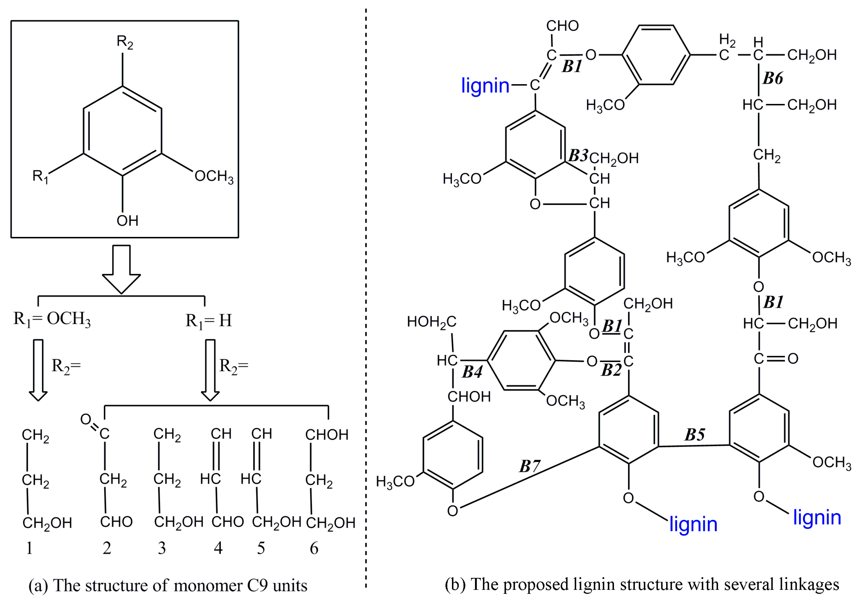 Polymers 09 00240 g001