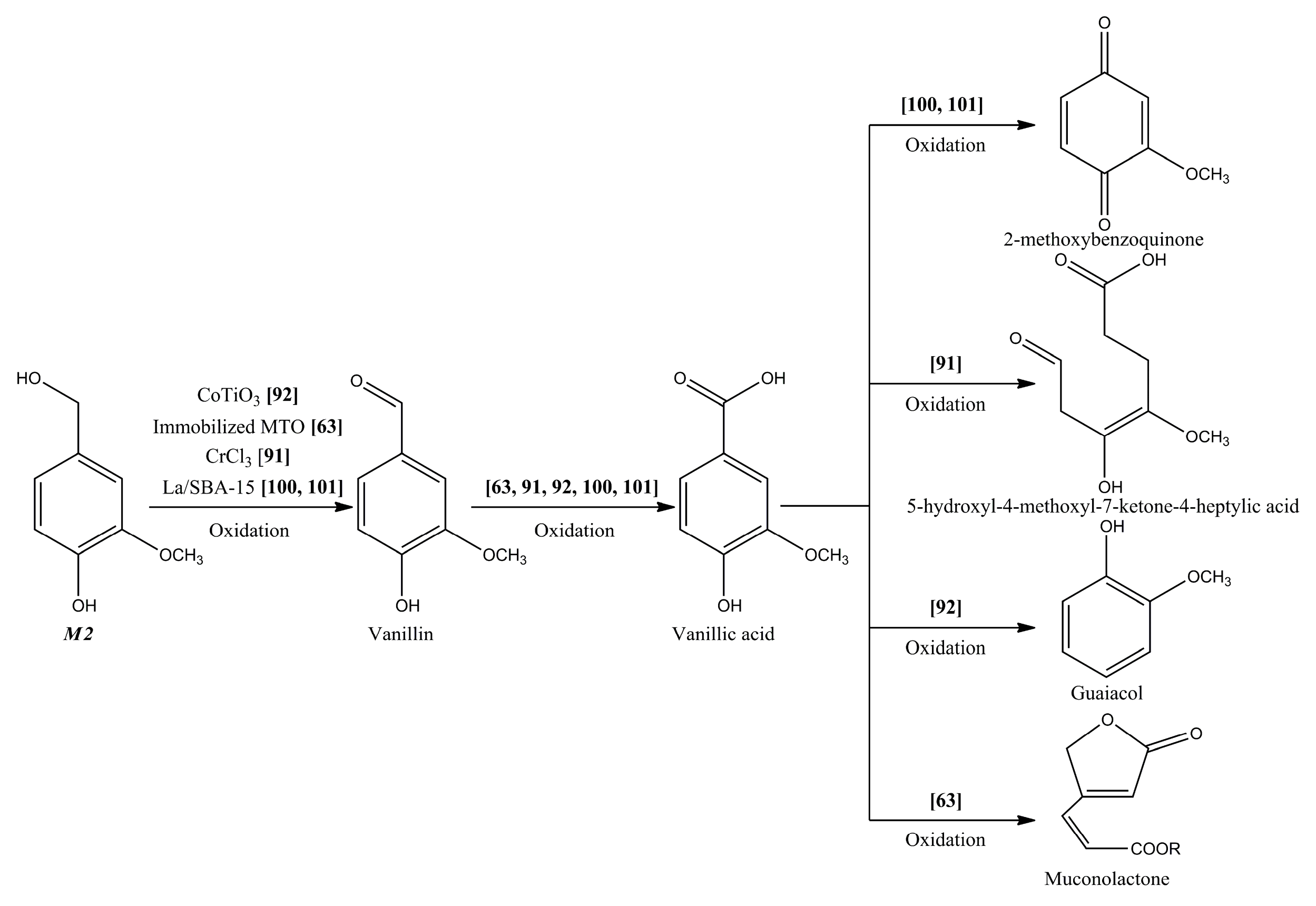 Polymers 09 00240 g005