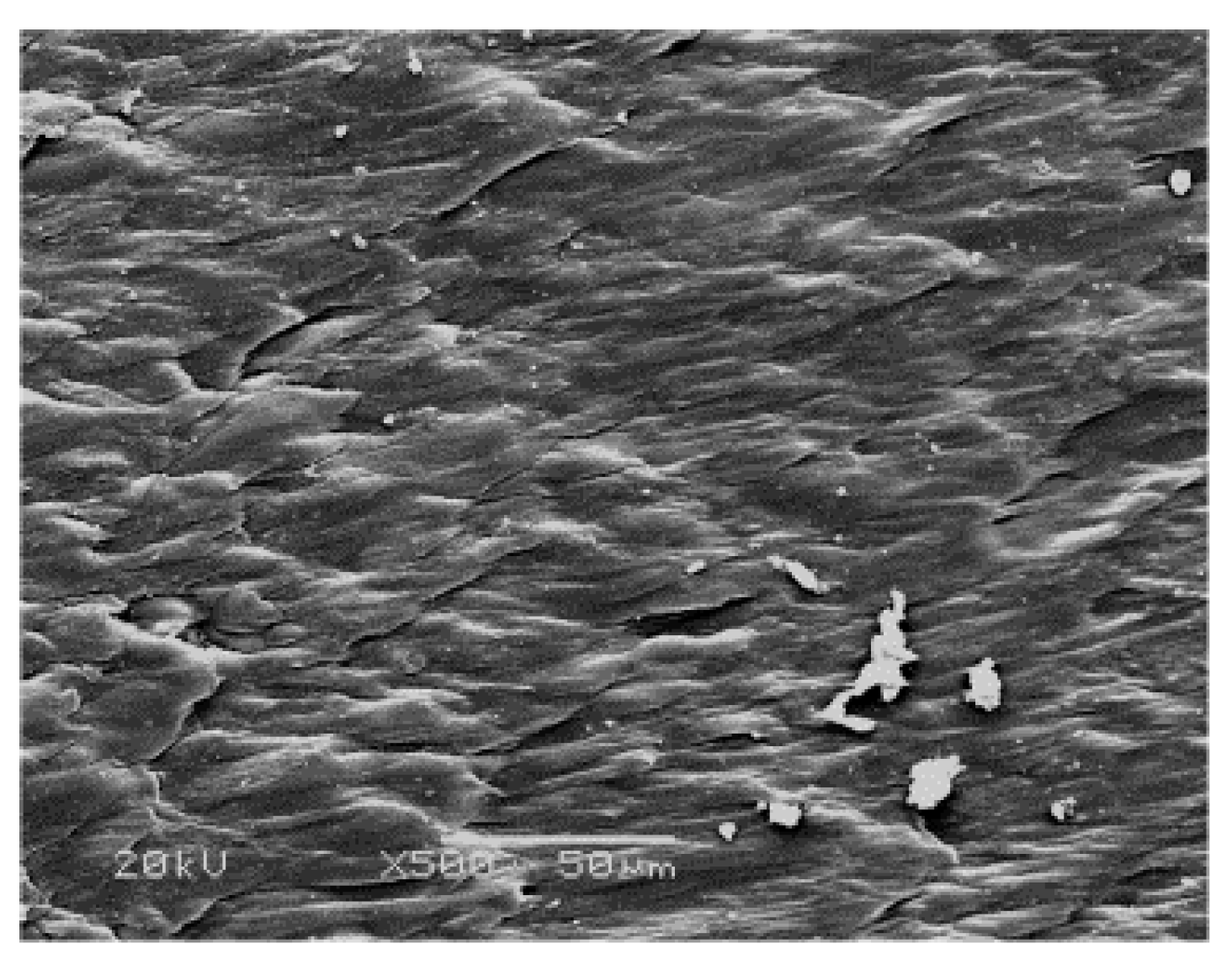 Polymers 09 00243 g007