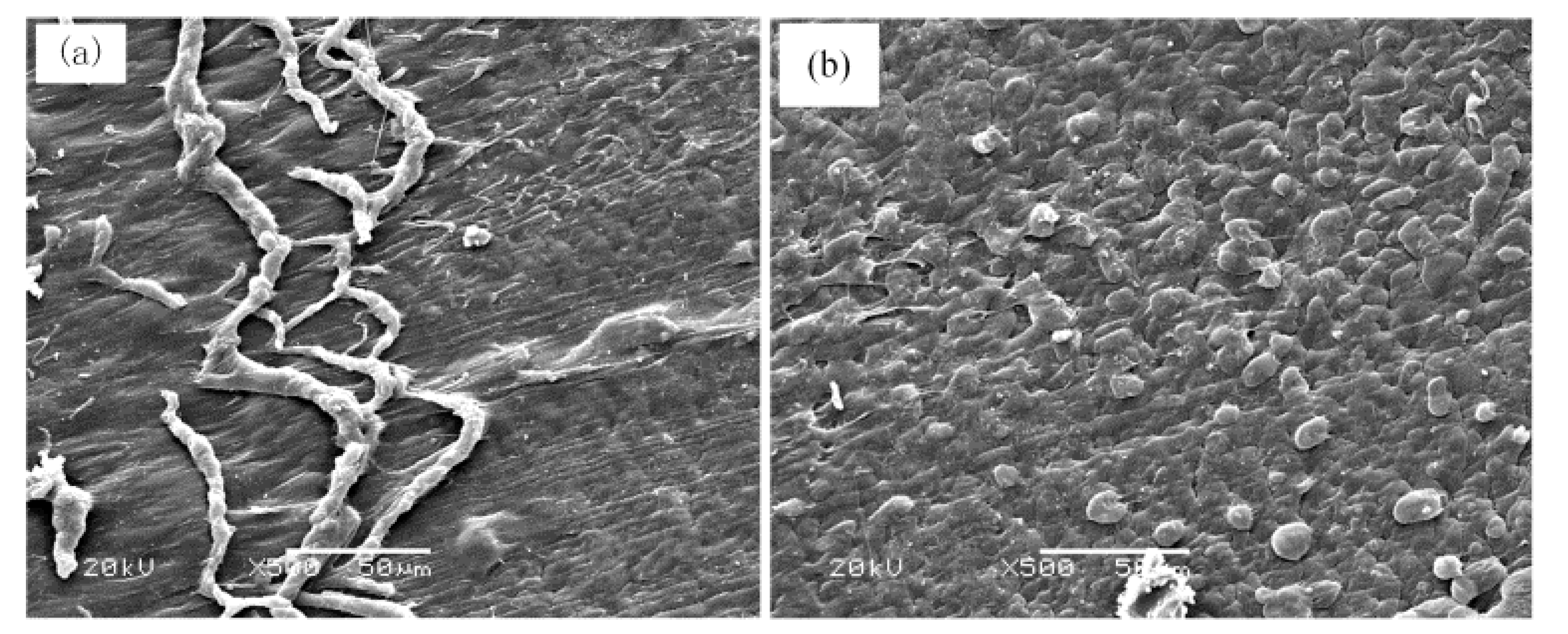 Polymers 09 00243 g008
