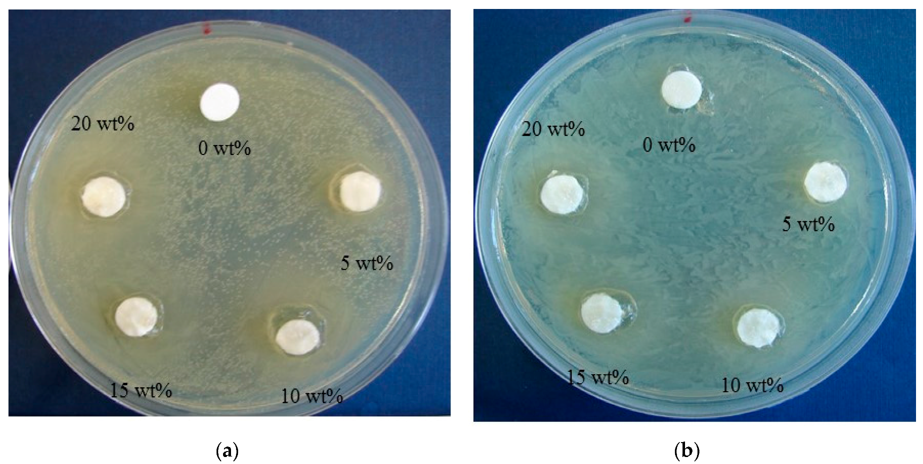 Polymers 09 00248 g005