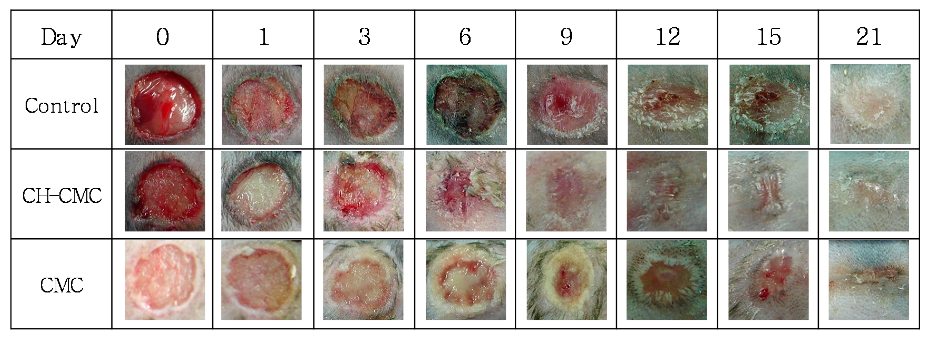 Polymers 09 00248 g007