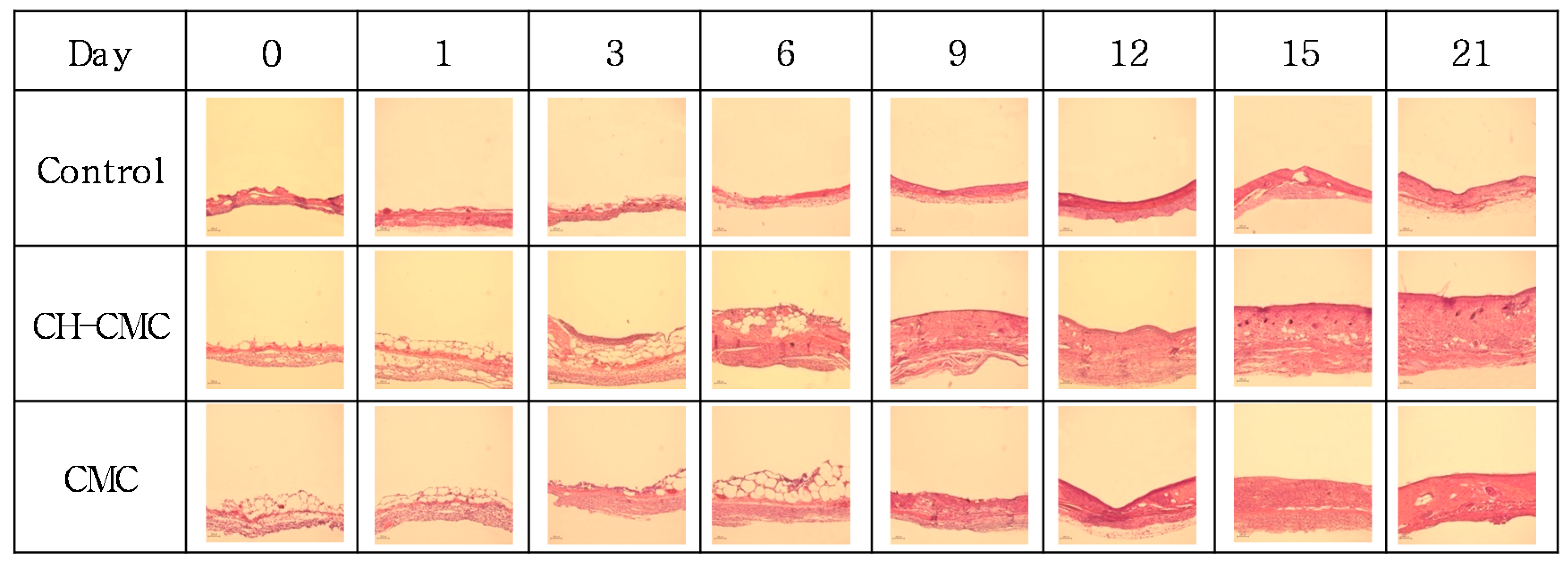 Polymers 09 00248 g008