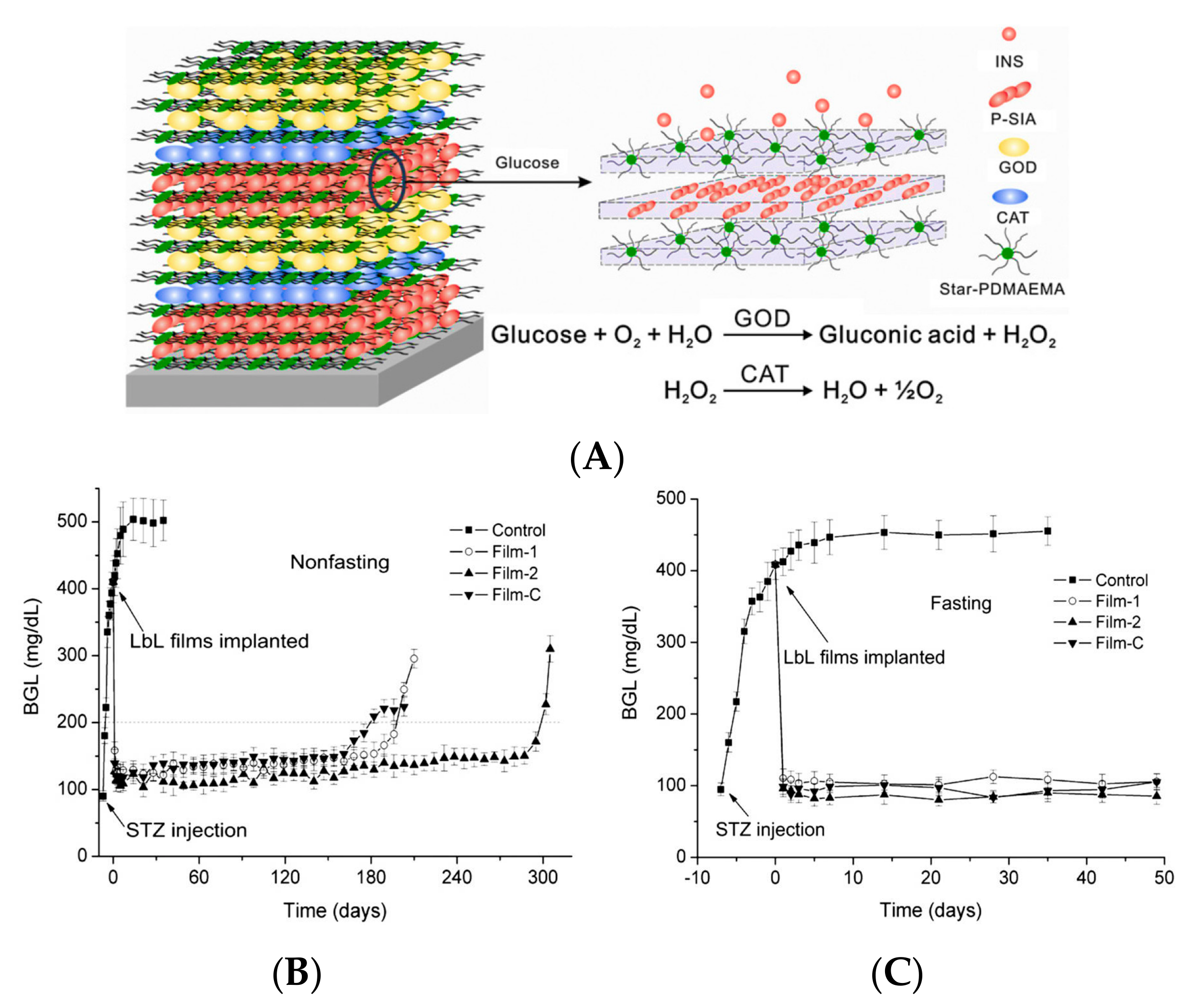 Polymers 09 00255 g002
