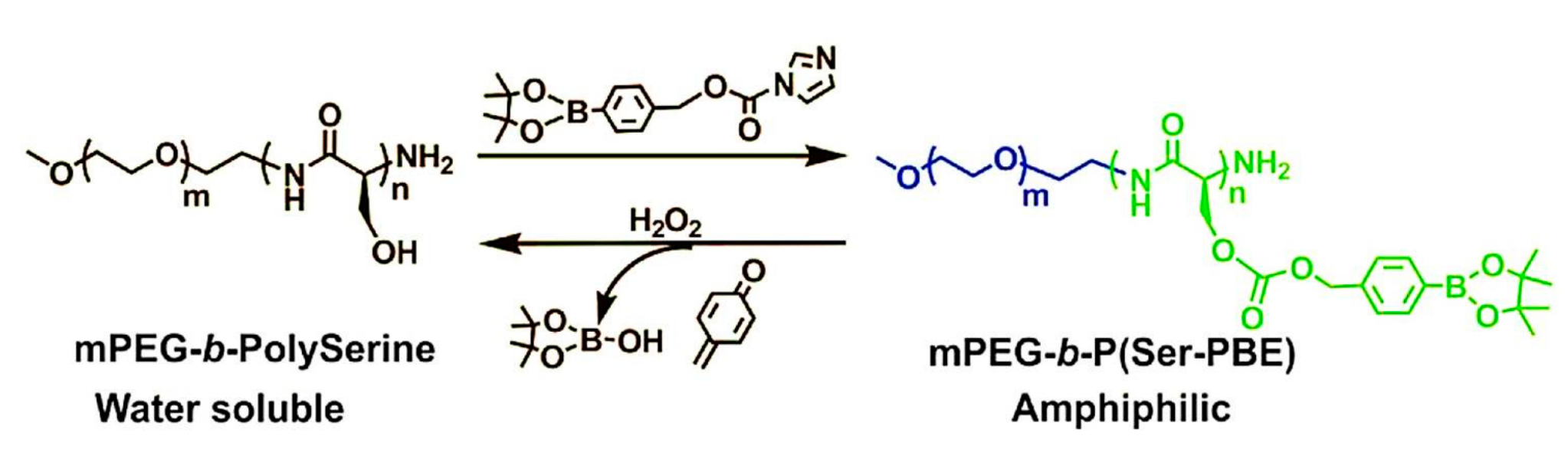 Polymers 09 00255 g004