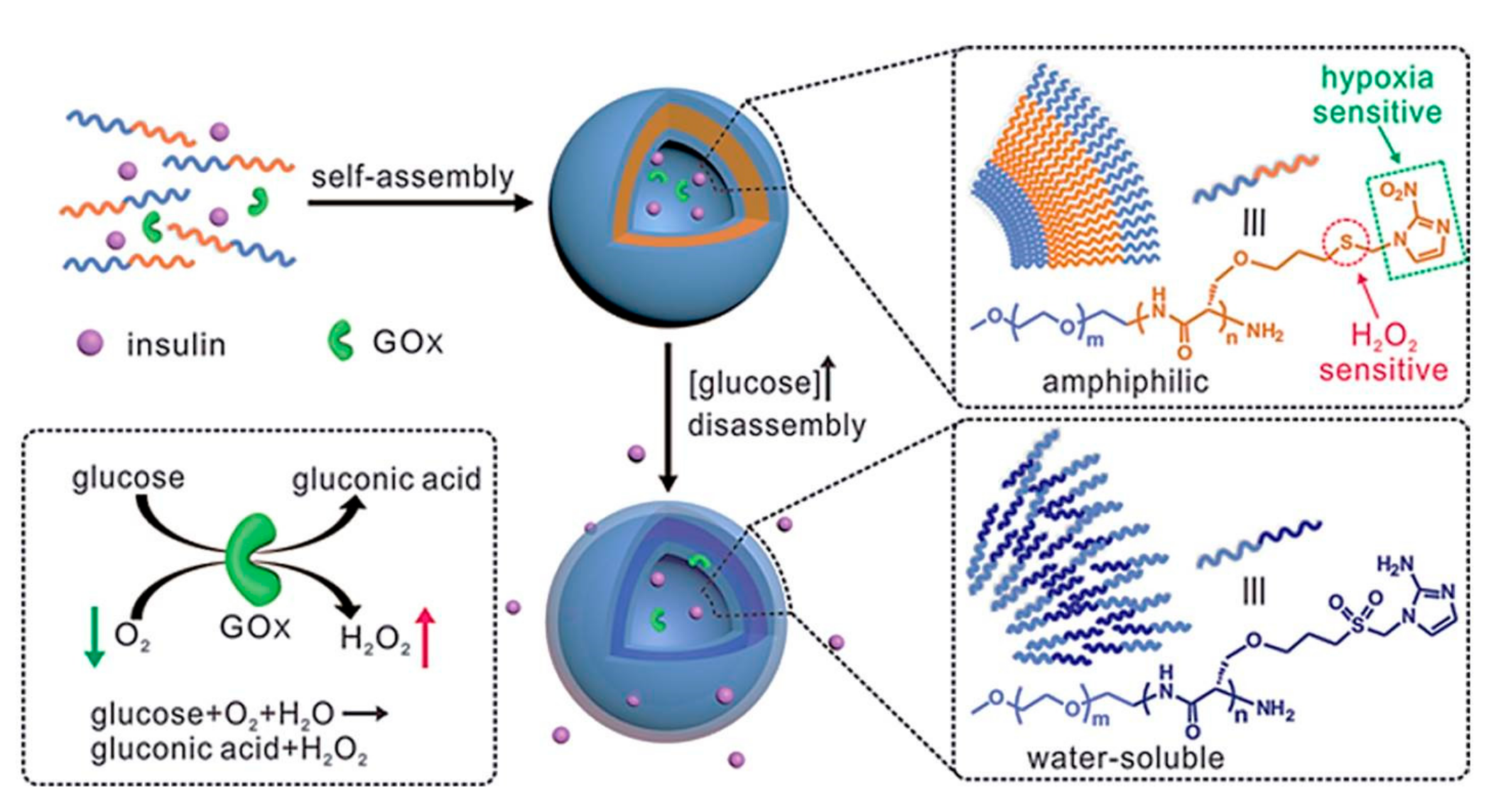 Polymers 09 00255 g005