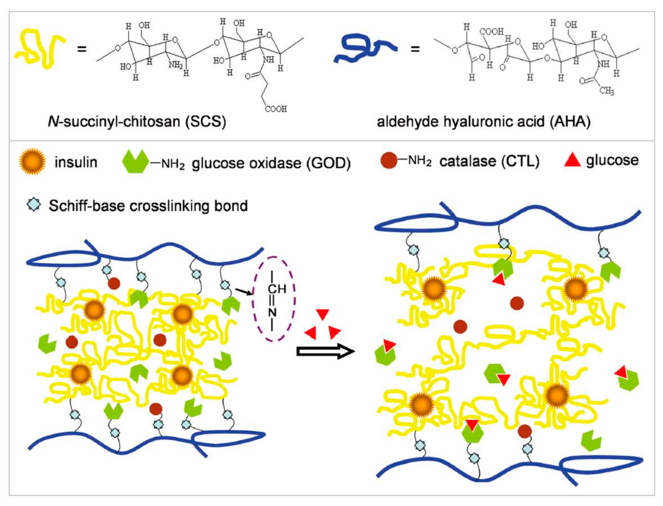 Polymers 09 00255 g007