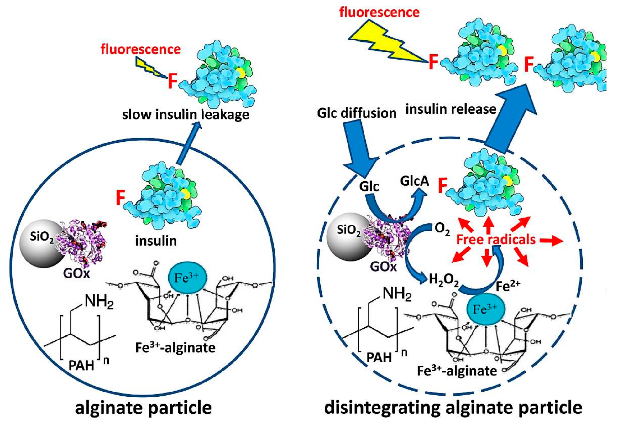 Polymers 09 00255 g009