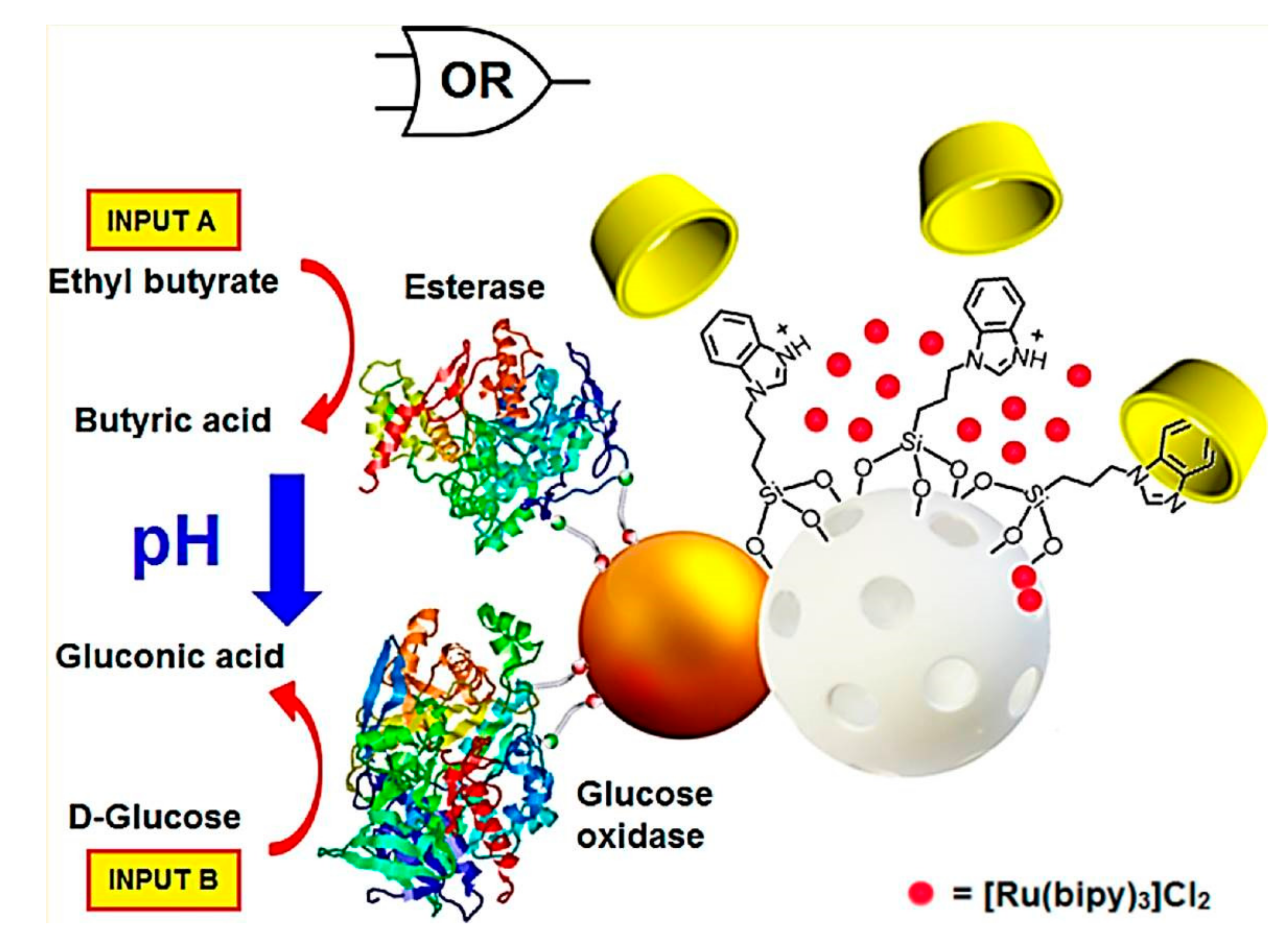 Polymers 09 00255 g012
