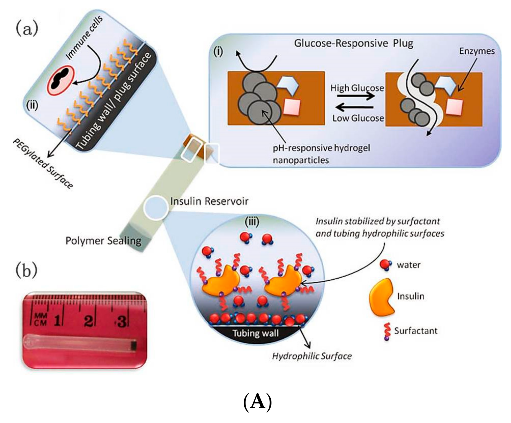 Polymers 09 00255 g013a