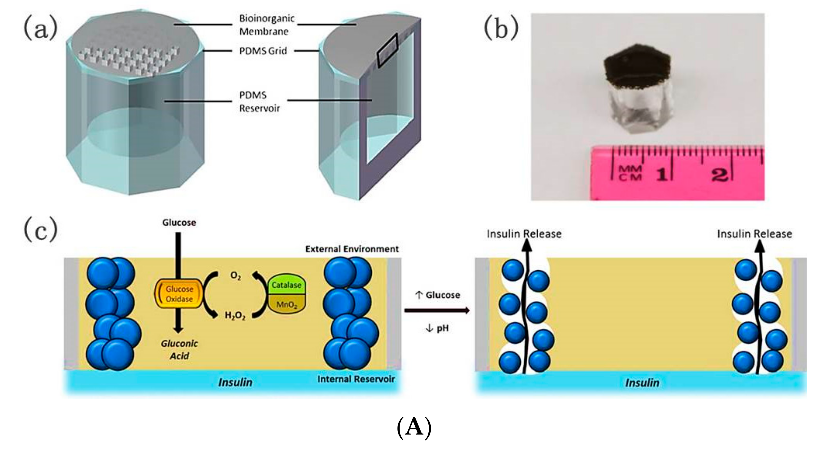 Polymers 09 00255 g014a