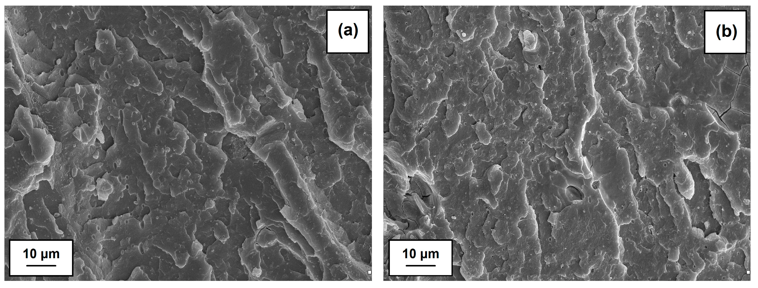 Polymers 09 00258 g008 Polymers 09 00258 g008