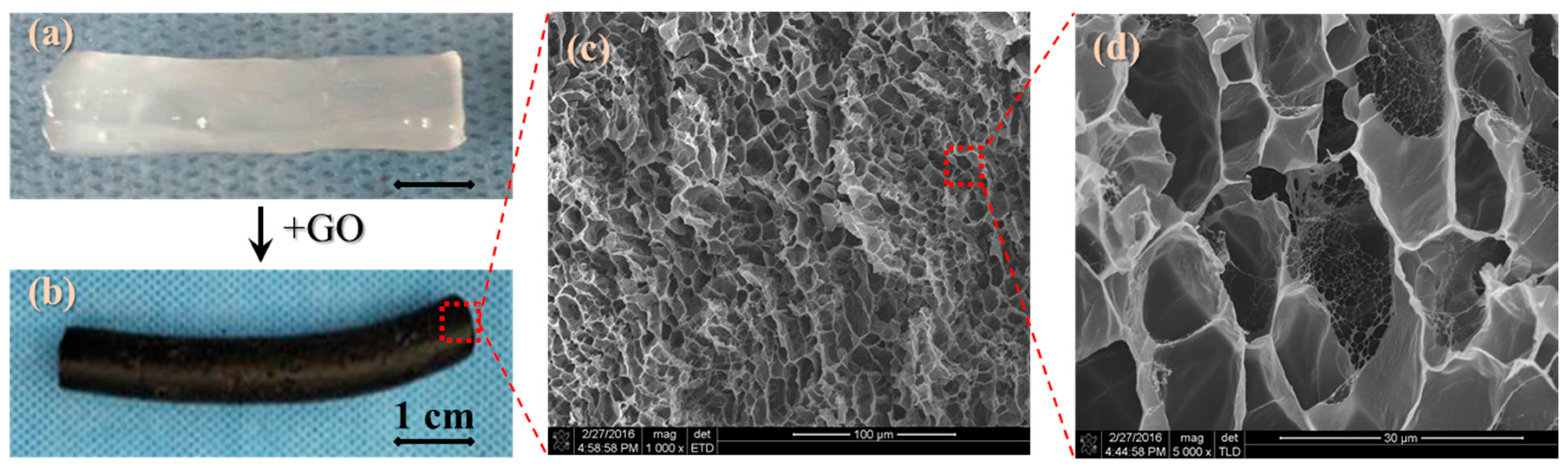 Polymers 09 00259 g002 Polymers 09 00259 g002