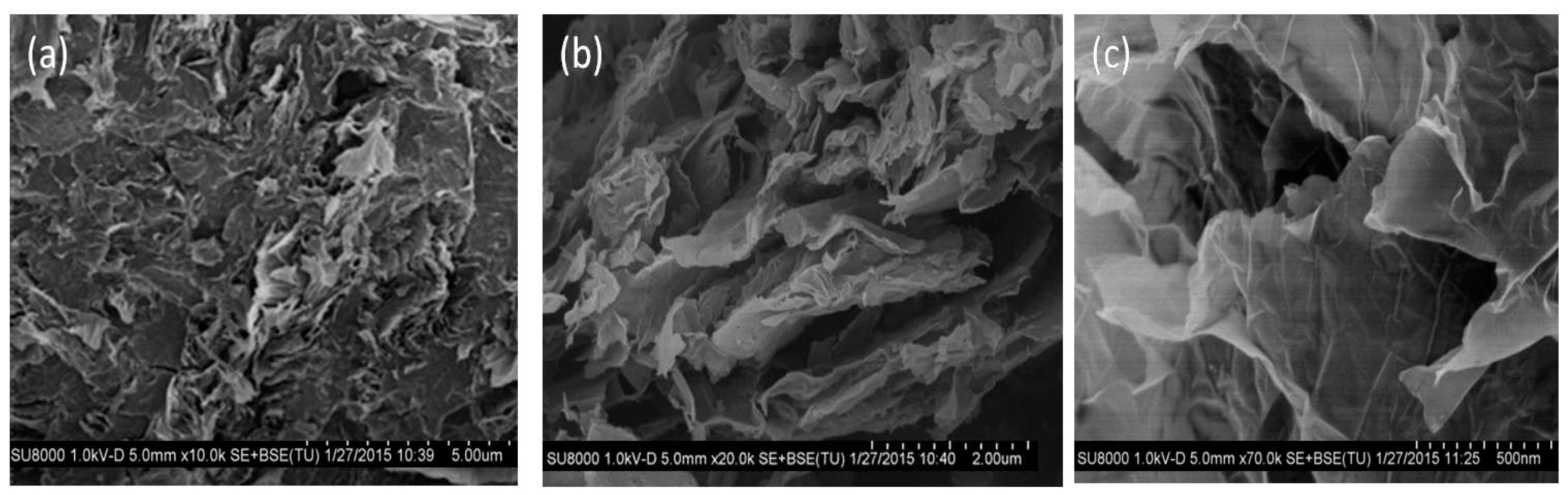 Polymers 09 00260 g005