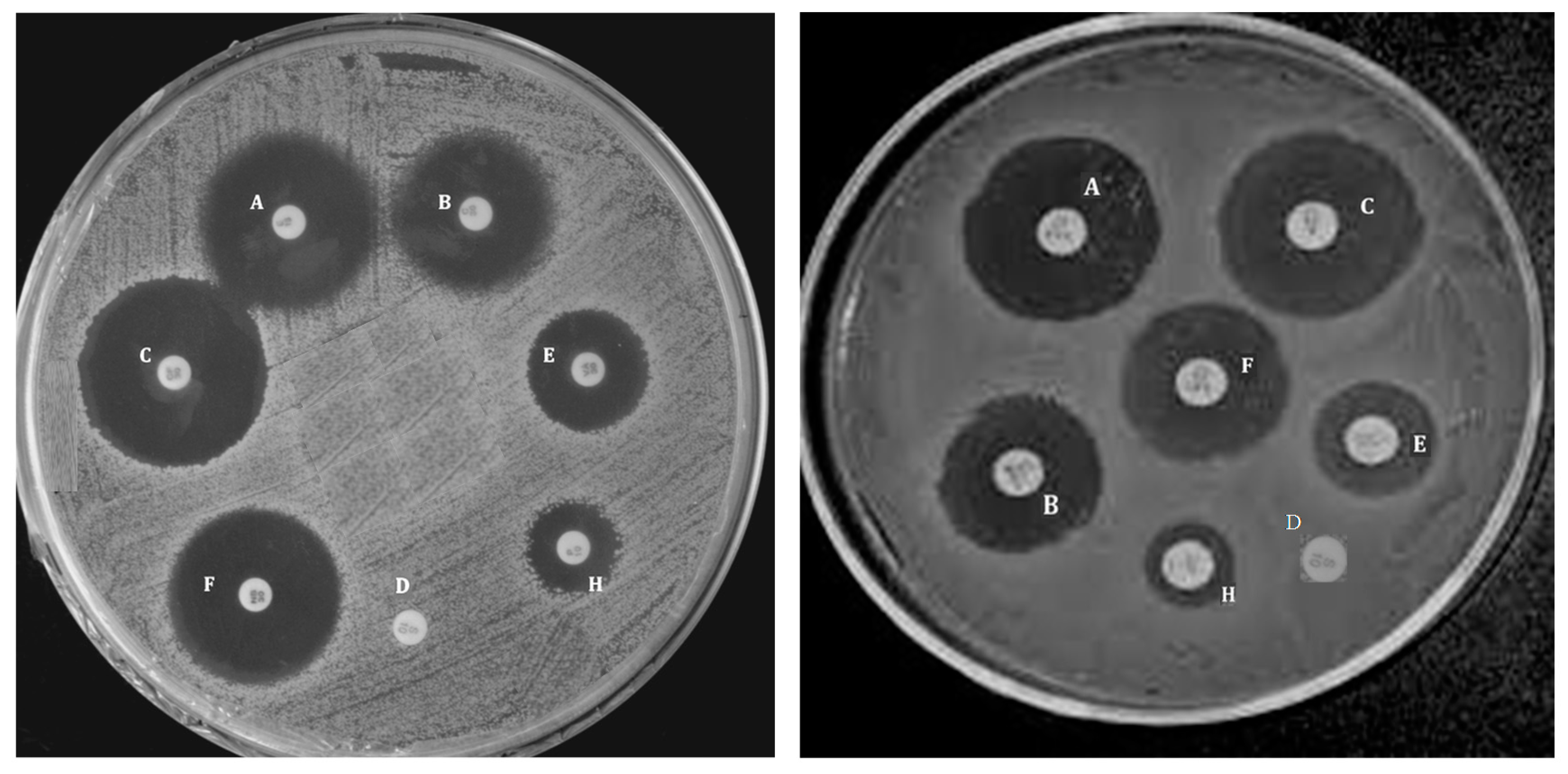 Polymers 09 00260 g012