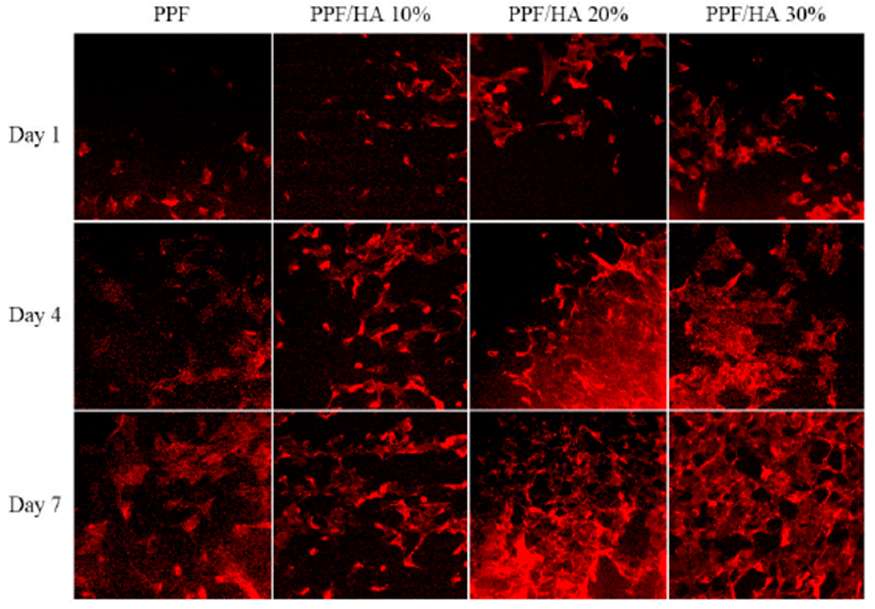 Polymers 09 00260 g014