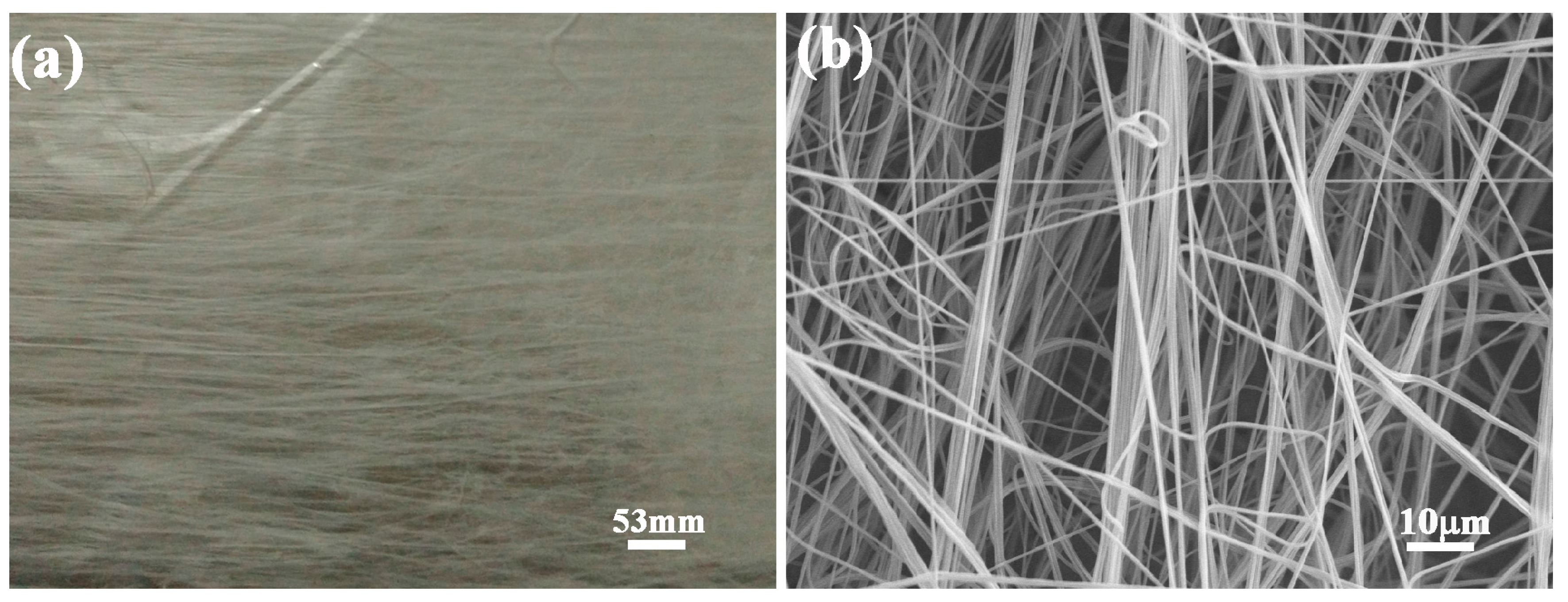Polymers 09 00270 g001