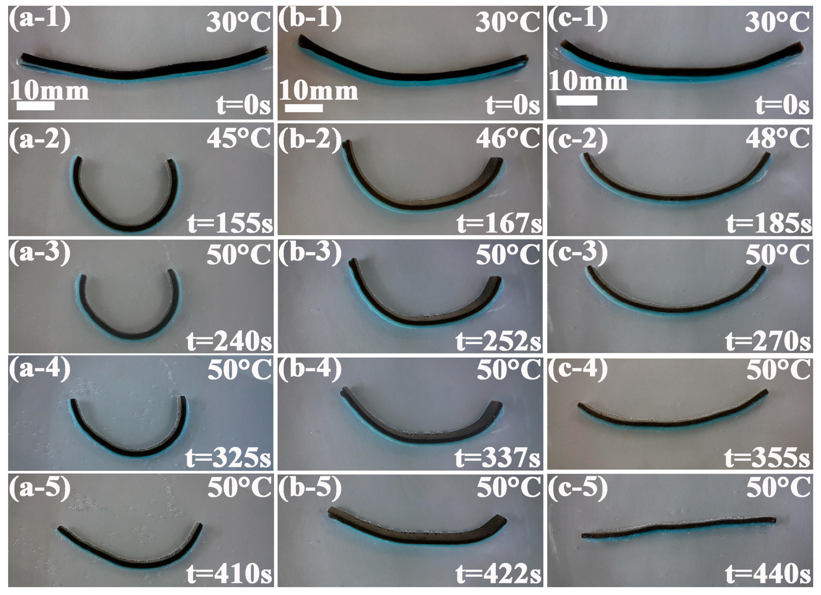 Polymers 09 00270 g008
