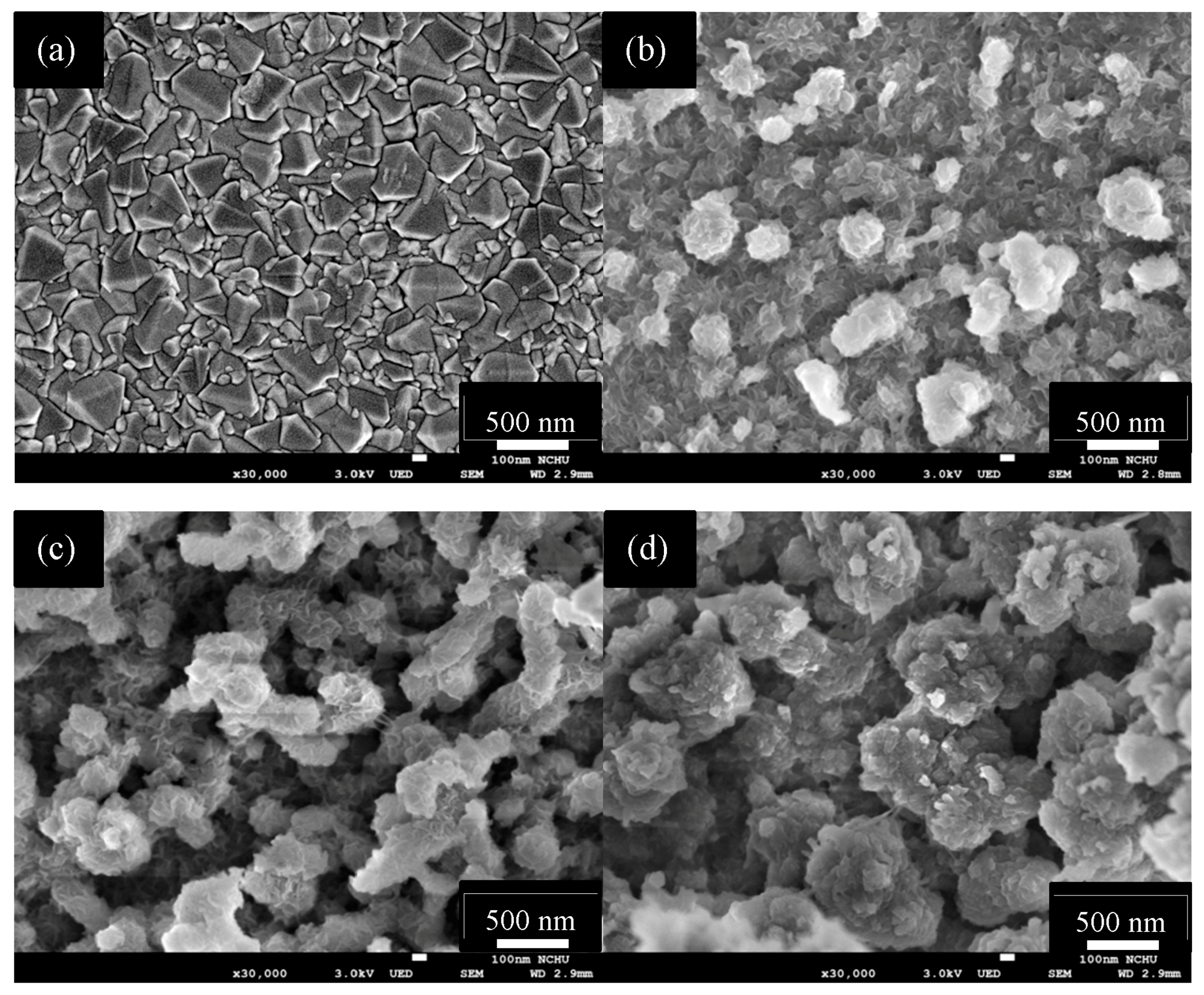 Polymers 09 00271 g002