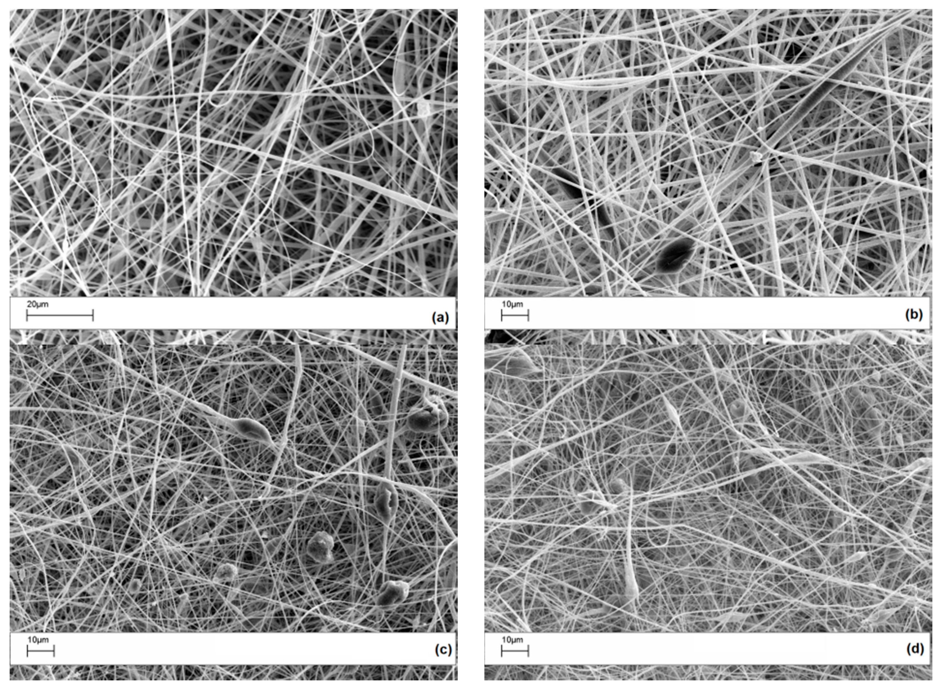 Polymers 09 00281 g002