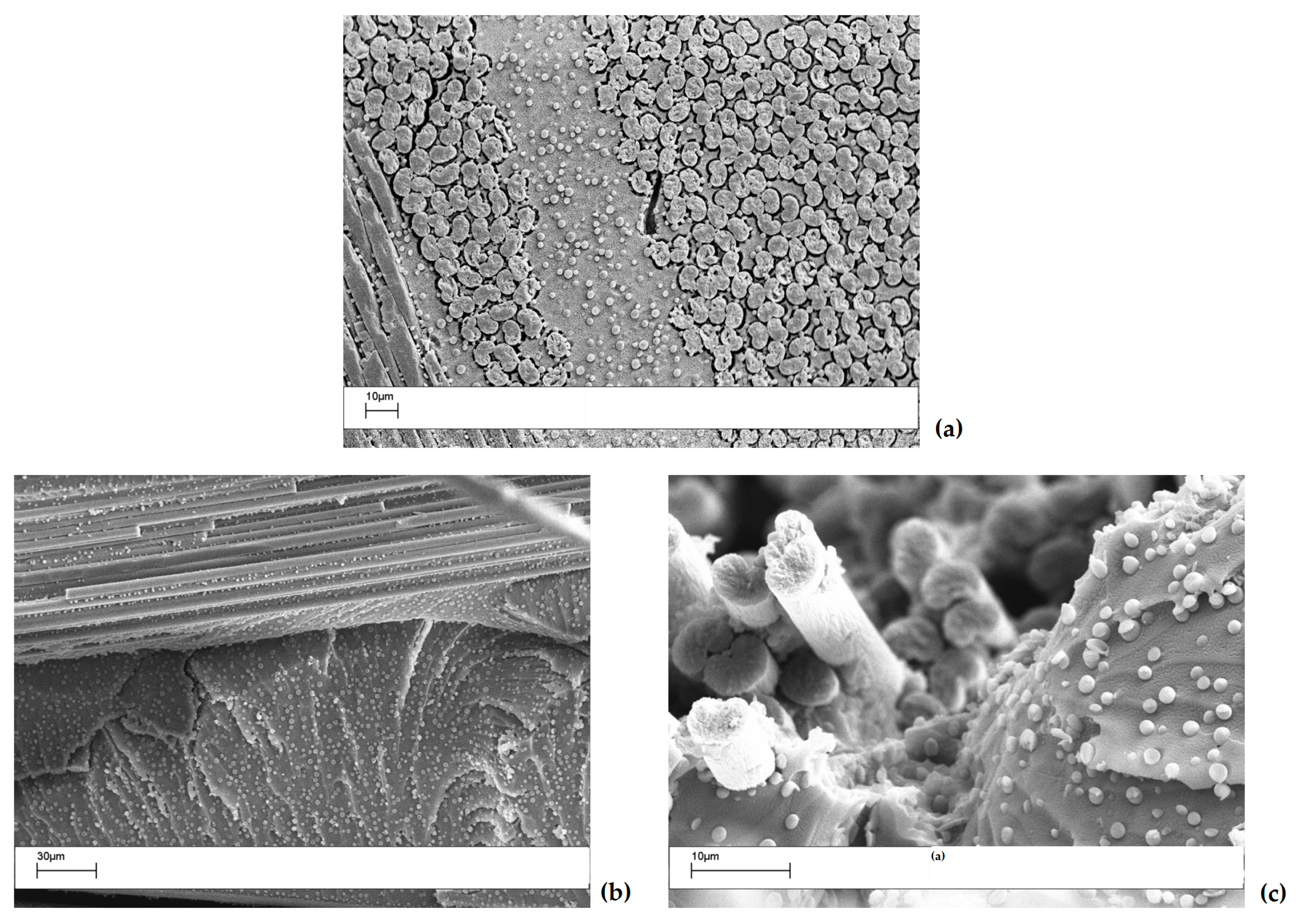 Polymers 09 00281 g008