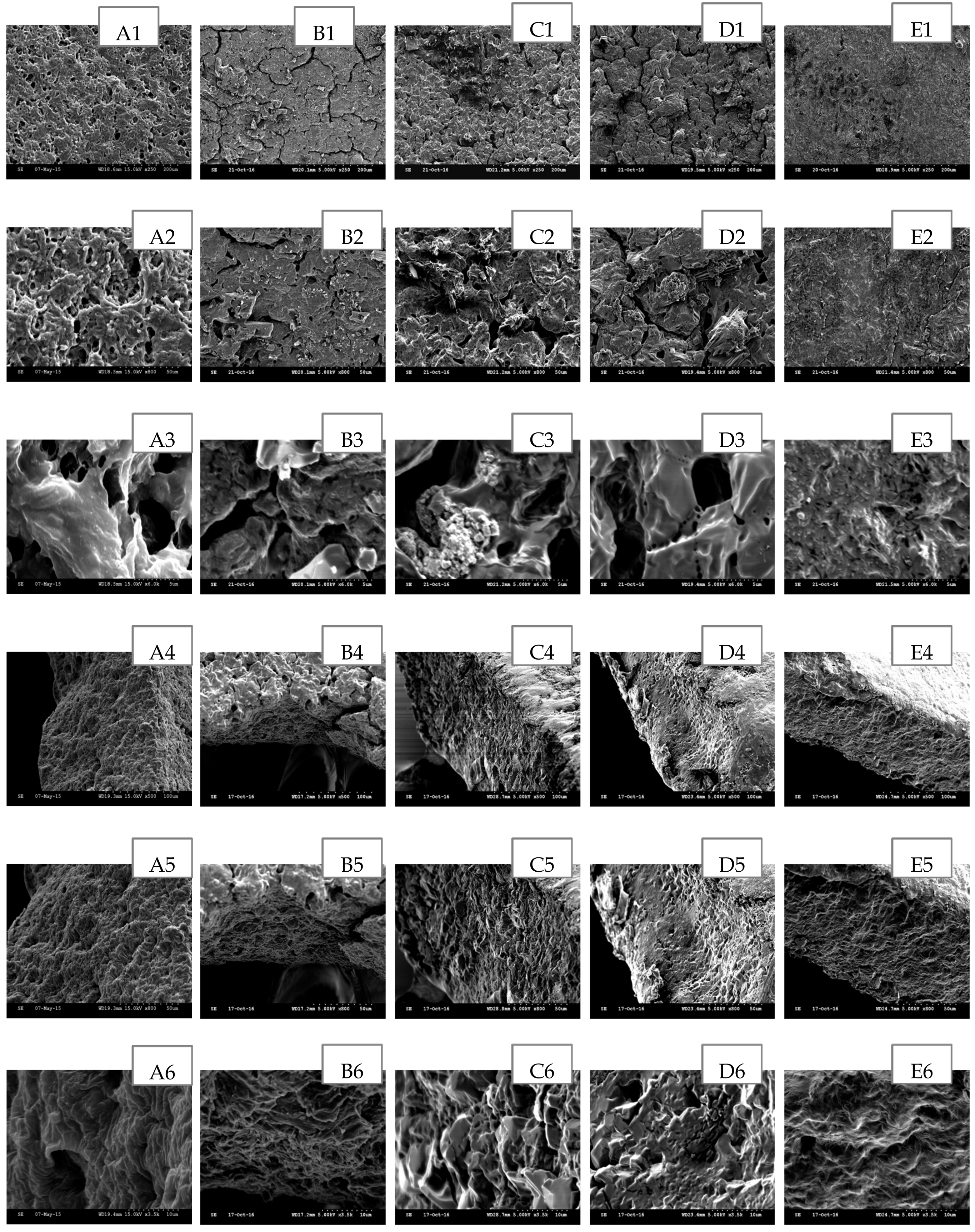 Polymers 09 00286 g002