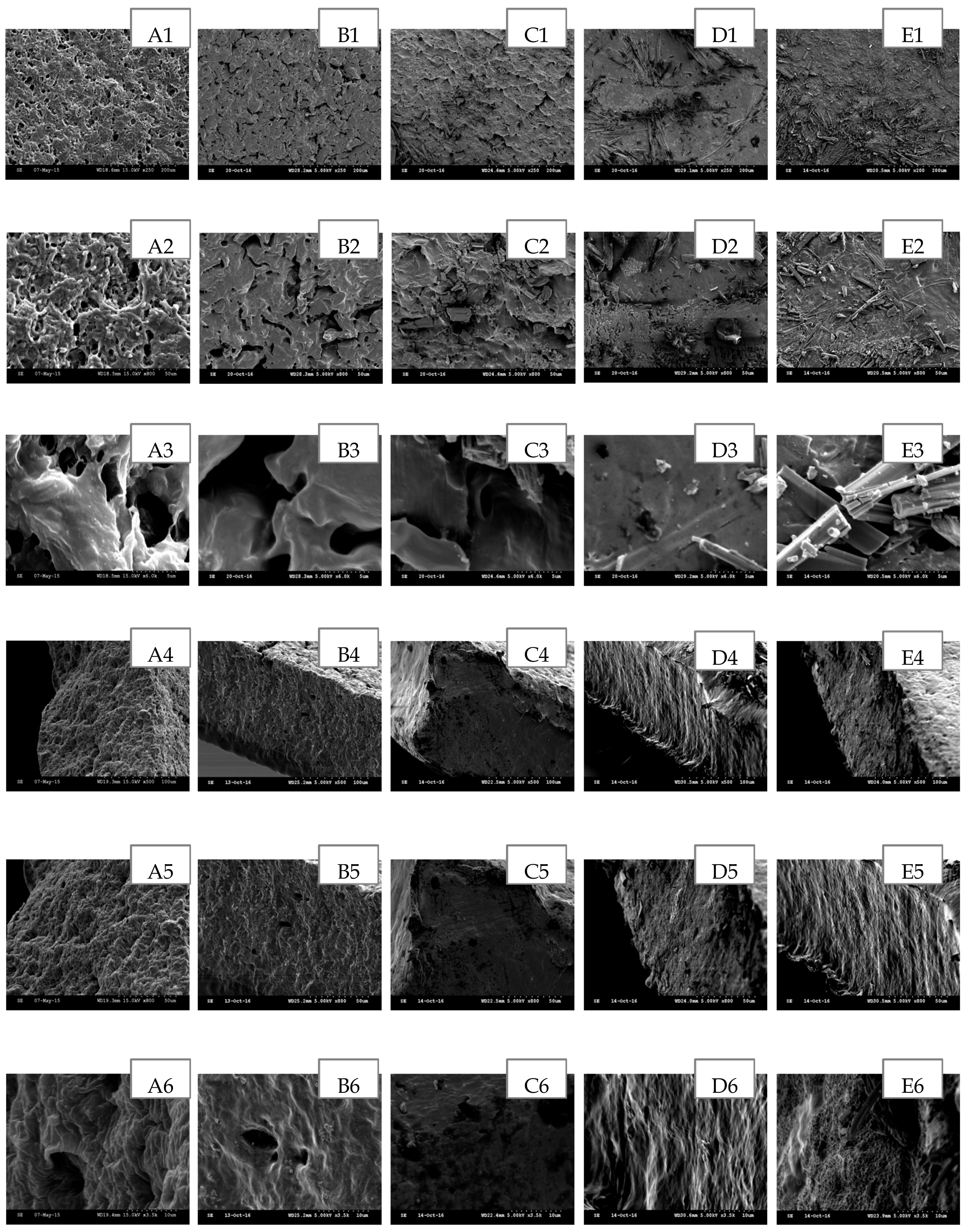 Polymers 09 00286 g003