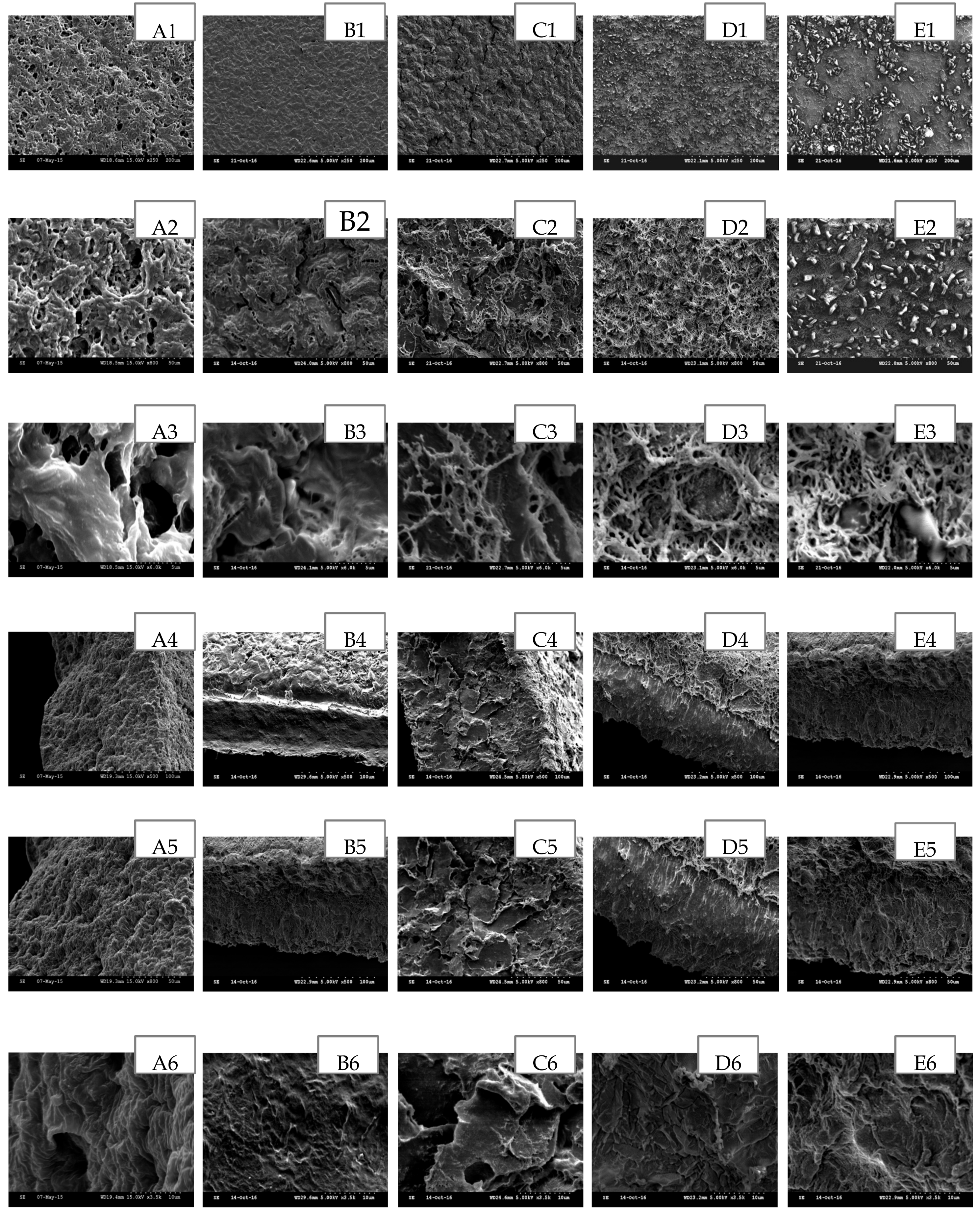 Polymers 09 00286 g004