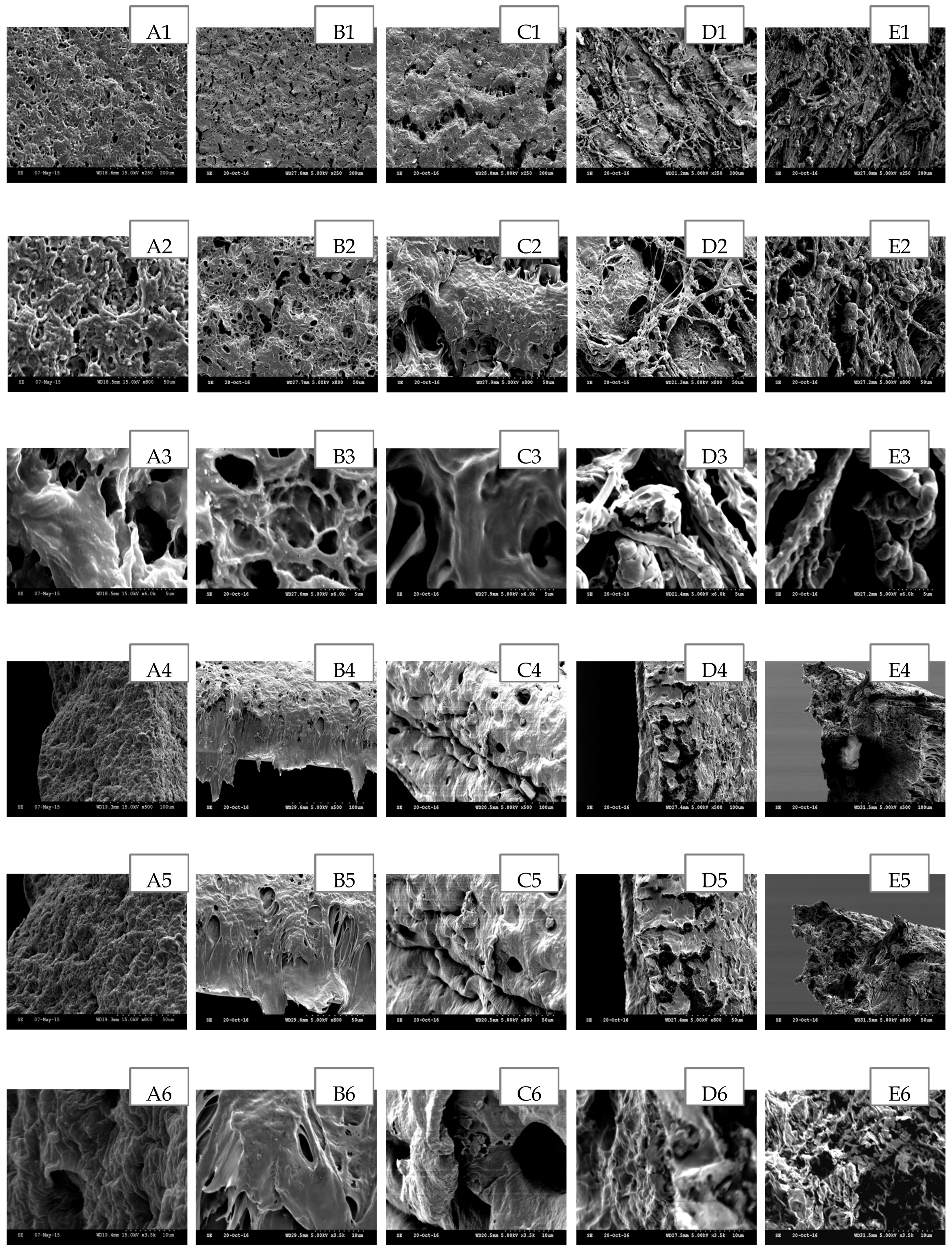 Polymers 09 00286 g005