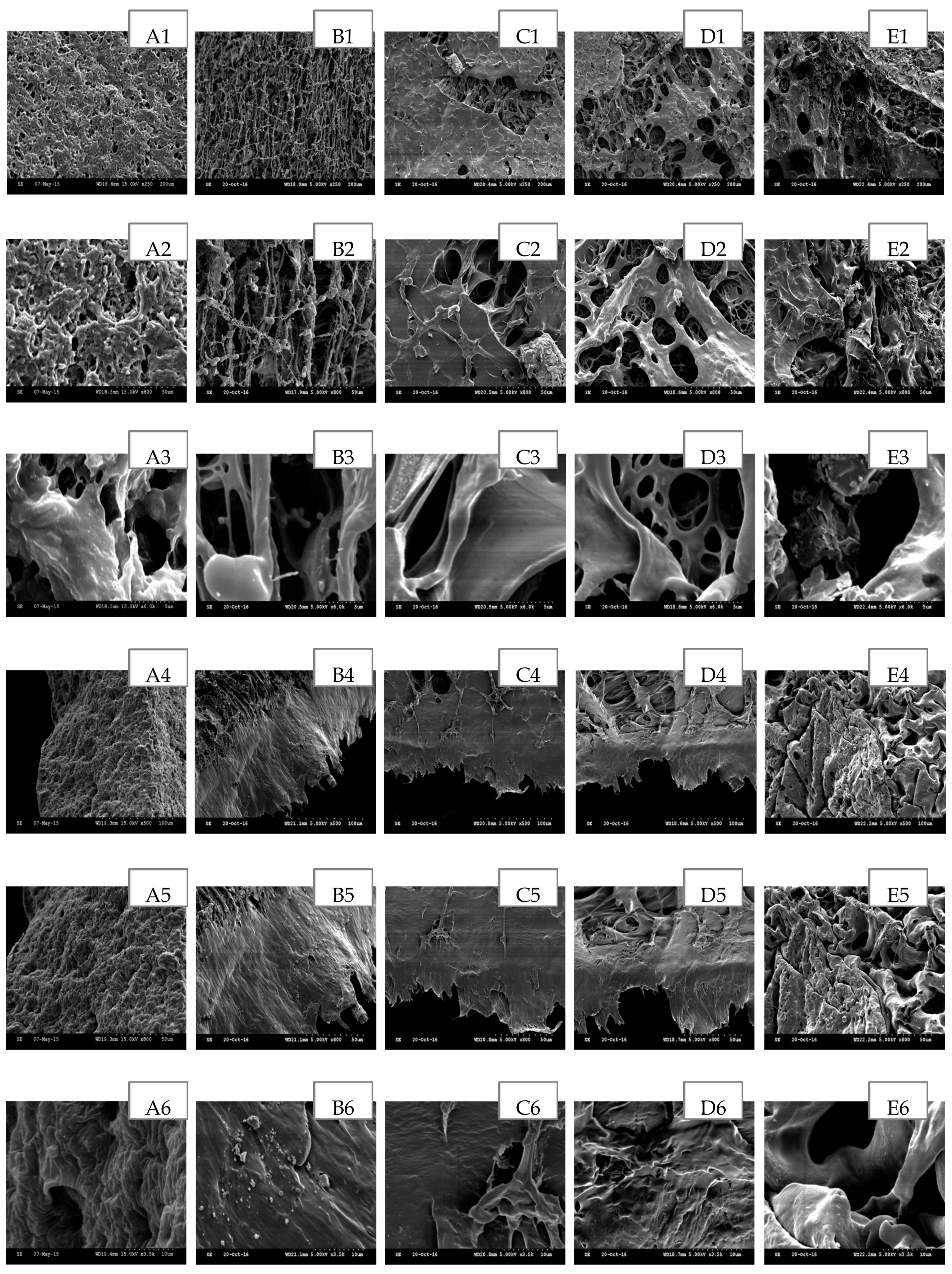 Polymers 09 00286 g006